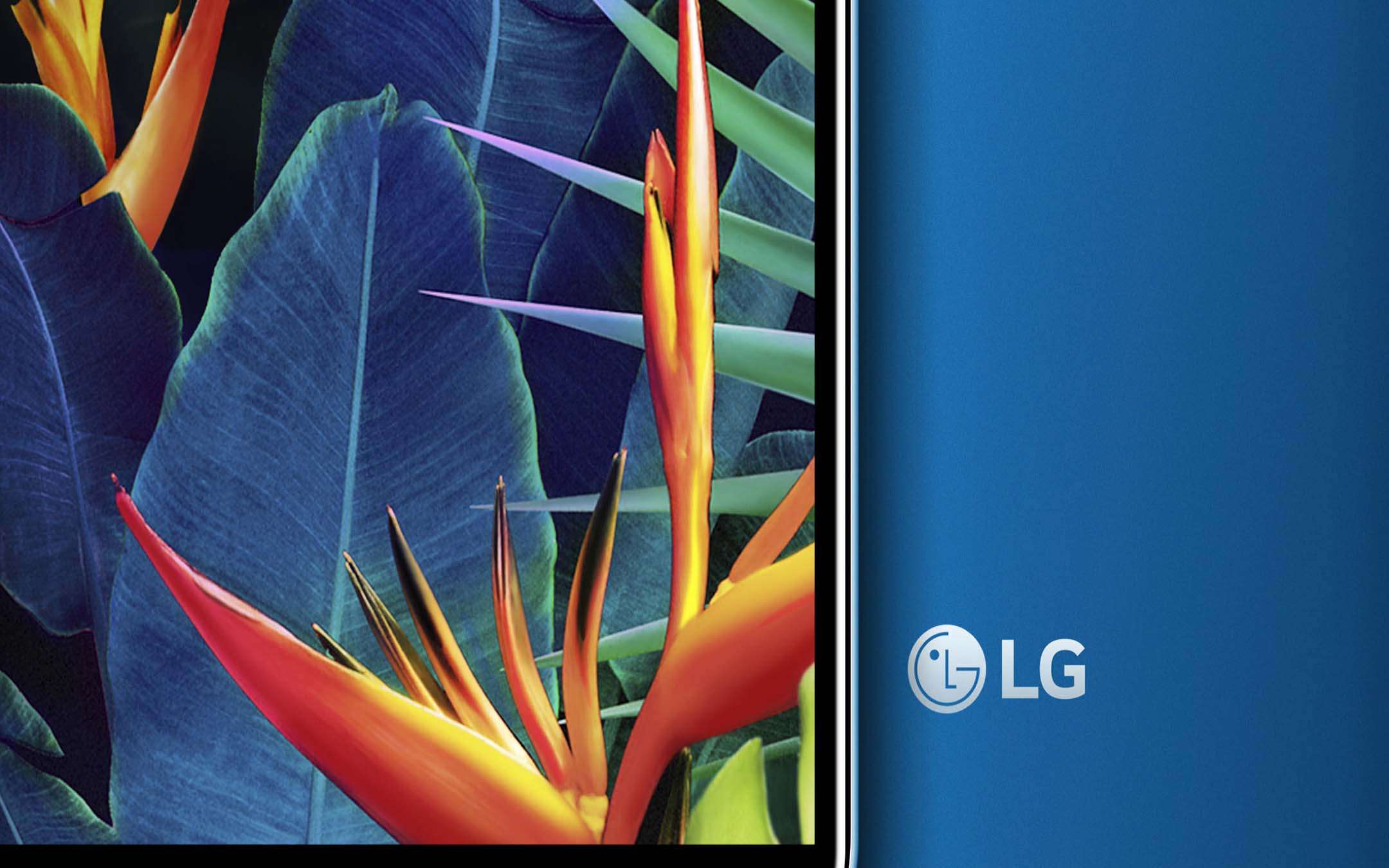 LG K40 arriva in Italia al prezzo di 179€