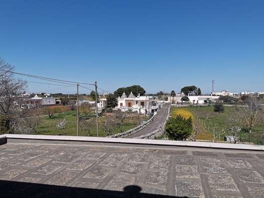 Scatto con Huawei P30 Pro senza zoom