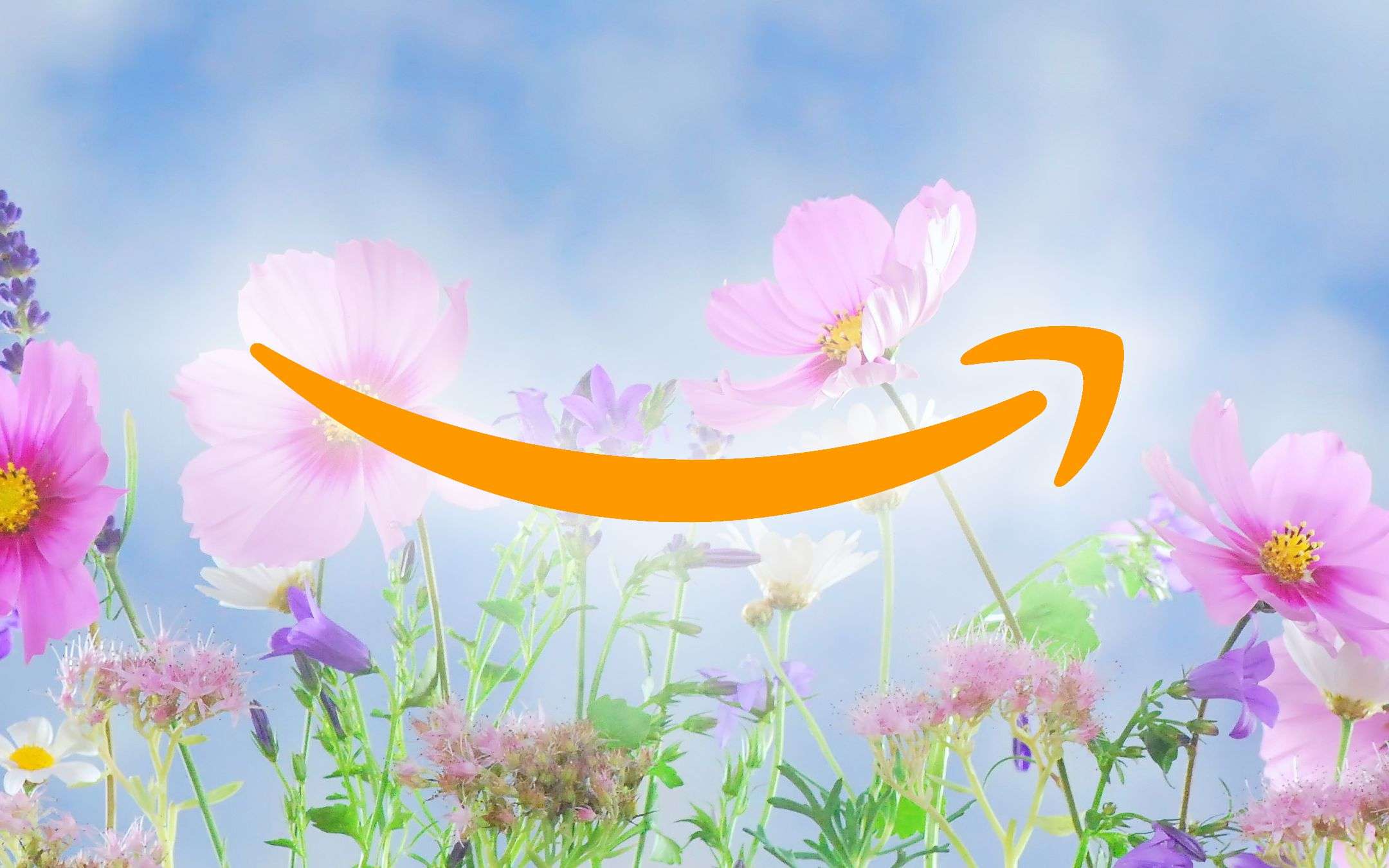 Offerte di primavera: nuovi sconti da Amazon