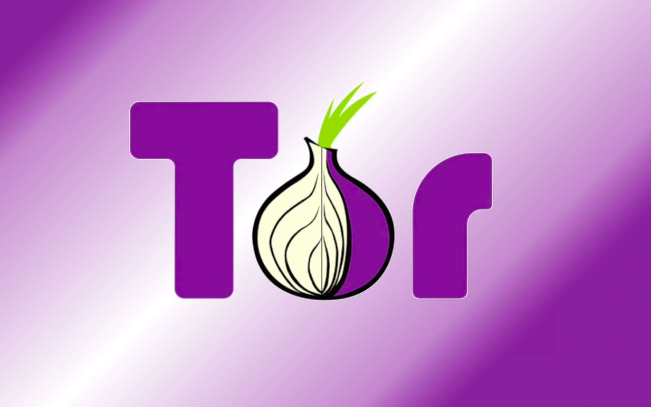 Tor browser отзывы 2017 mega похожие программы на tor browser mega2web