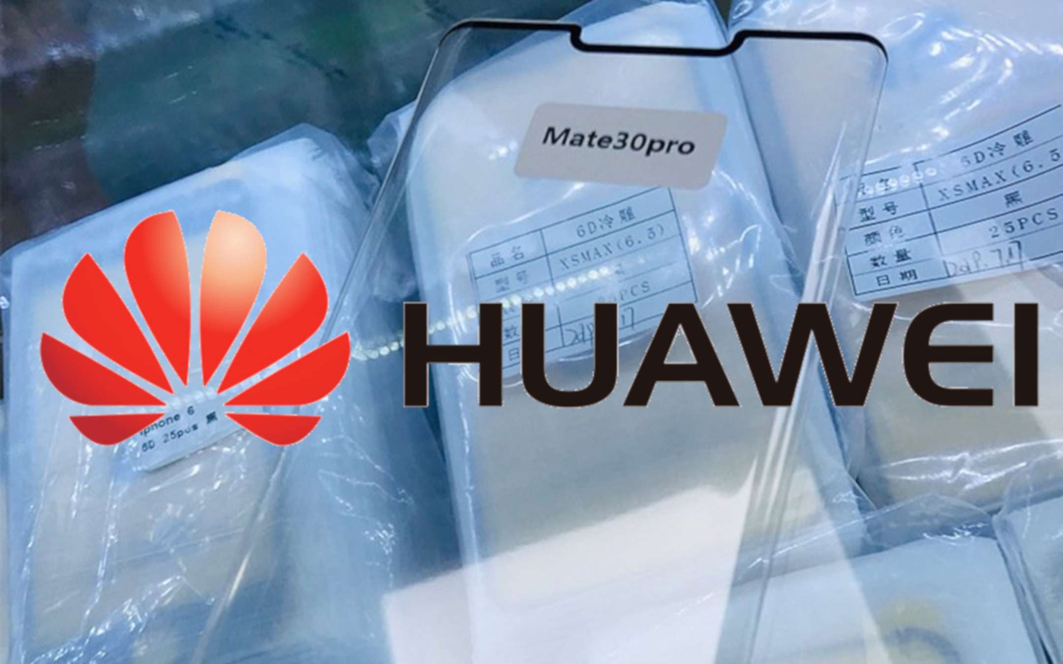 Huawei Mate 30 Pro: notch e curvatura importanti