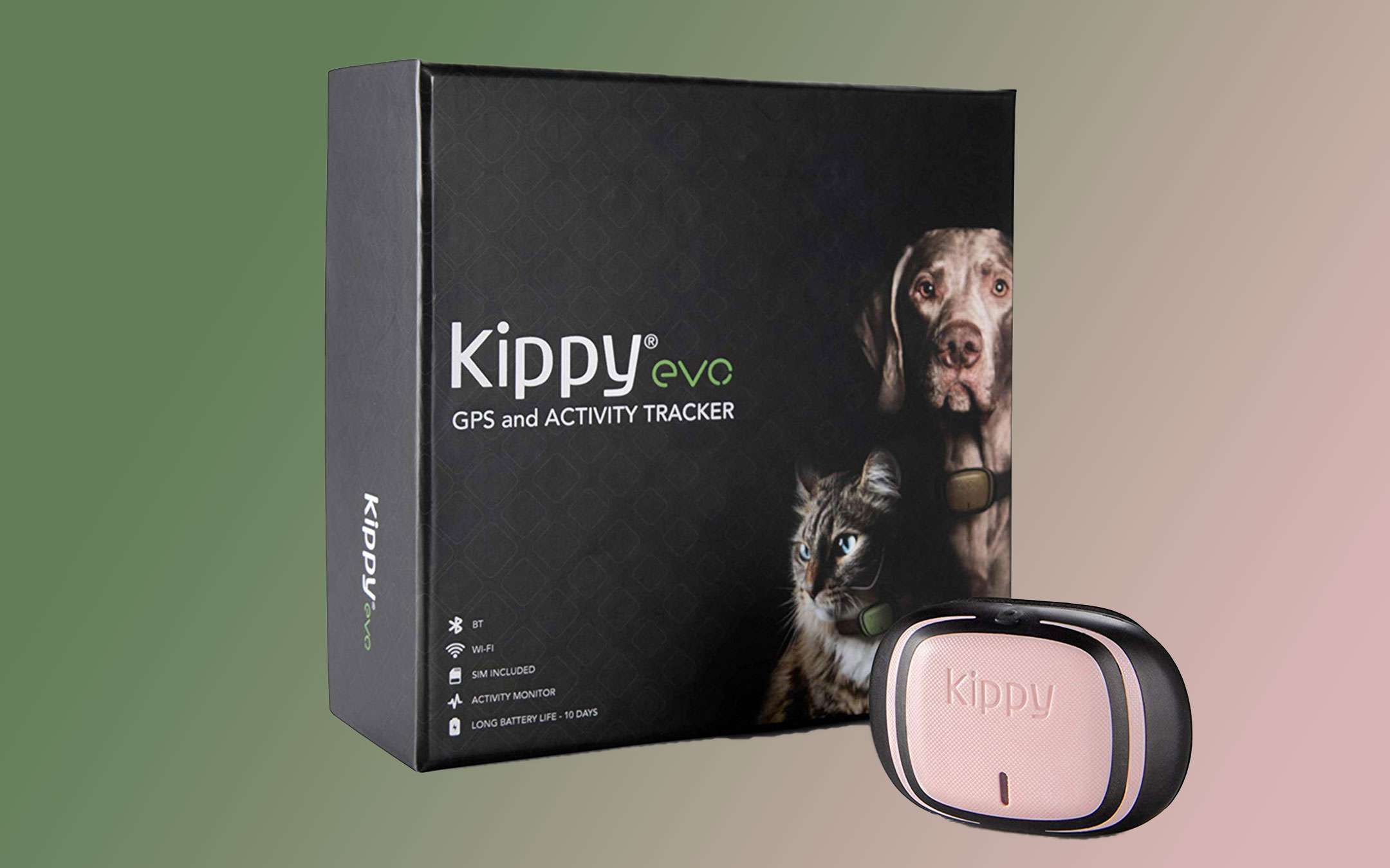 Kippy EVO in offerta a meno di 50€ su Amazon Kippy EVO in offerta a meno di 50€ su Amazon