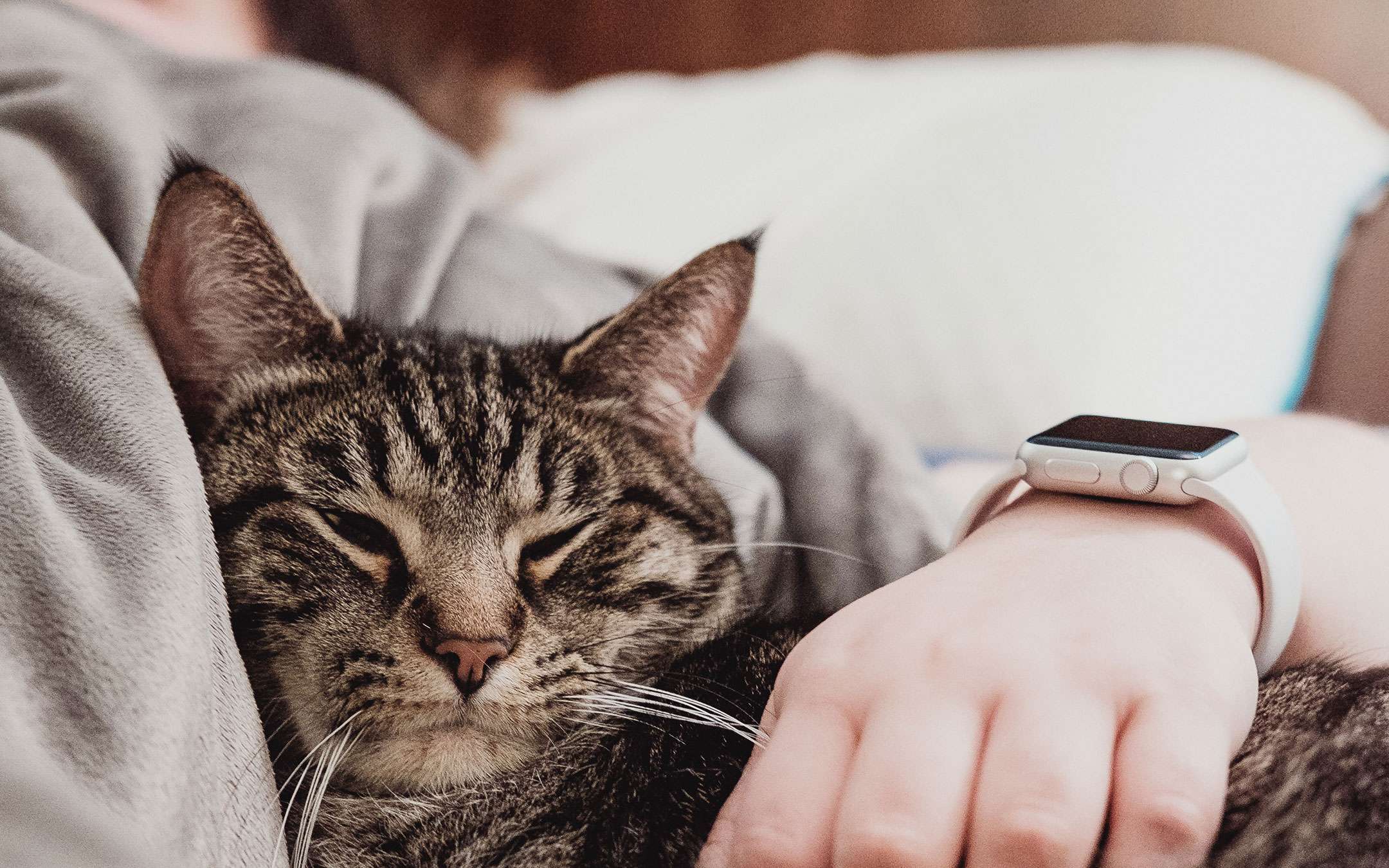 Apple Watch: spunta l'app Sonno per sbaglio