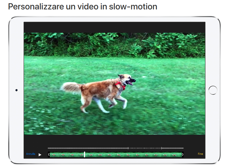 slow-motion