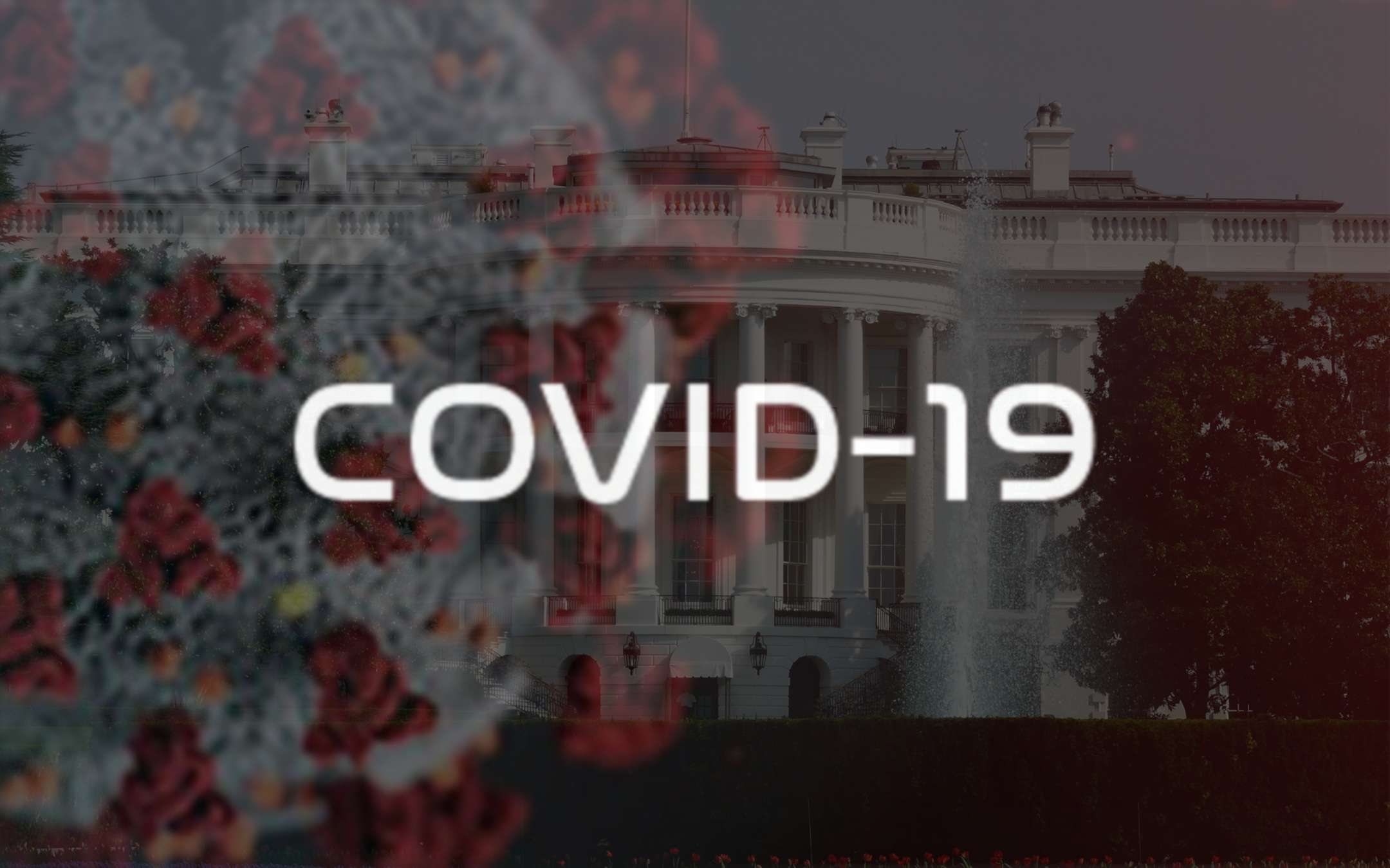 Coronavirus: Trump chiede aiuto ai colossi IT
