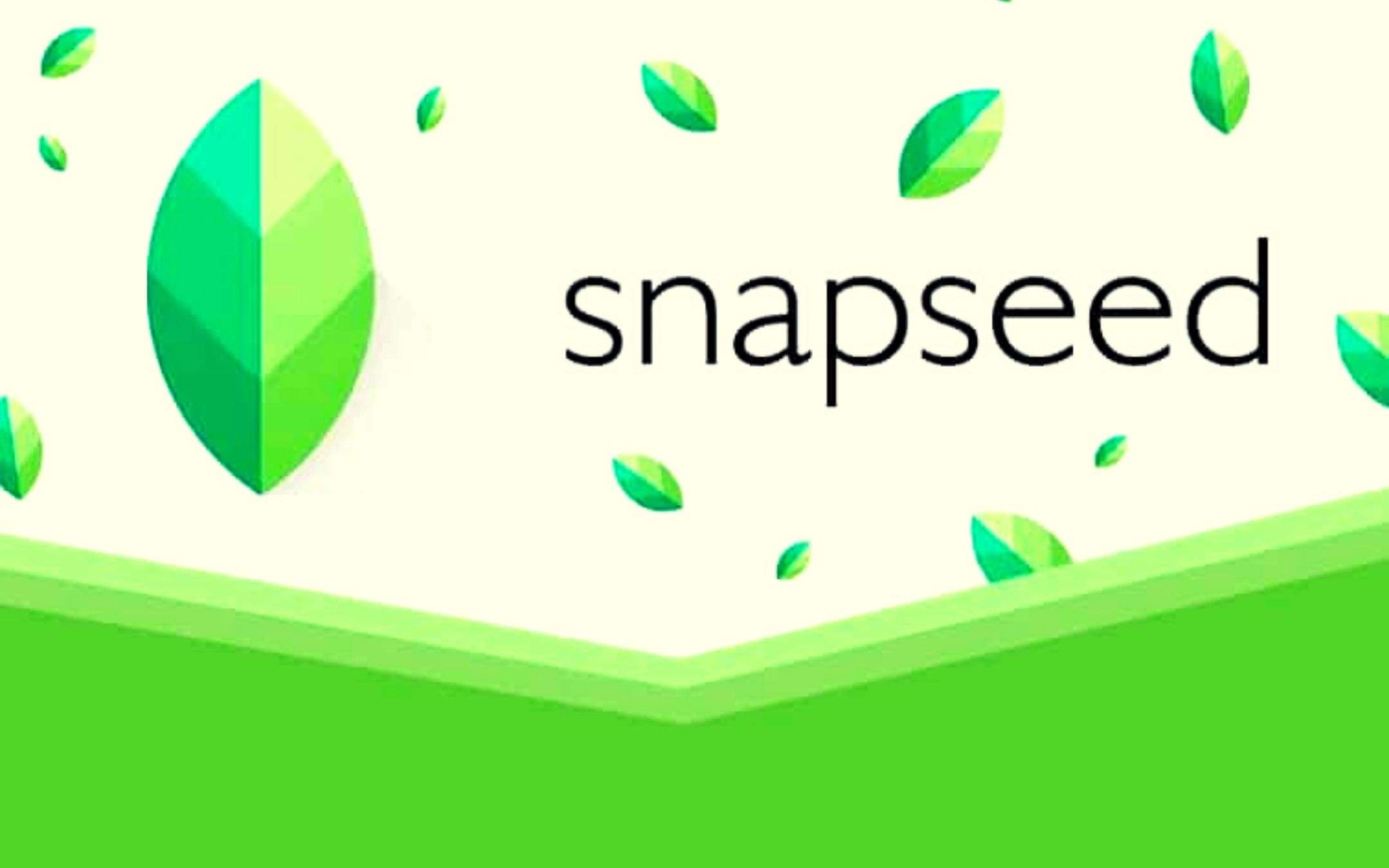 Snapseed: arriva update su Android dopo due anni