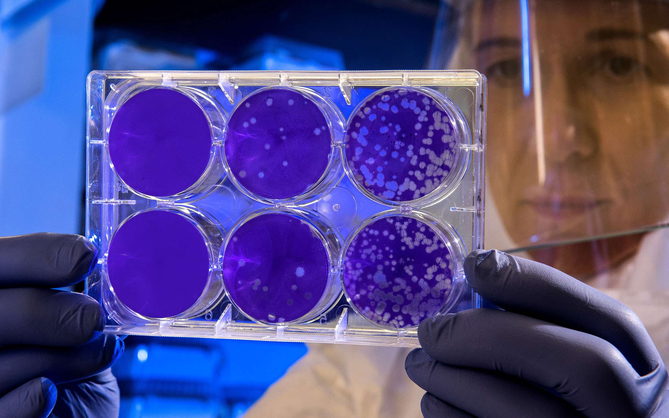 Coronavirus: Google chiede donazioni sul Play Store Coronavirus: Google chiede donazioni sul Play Store