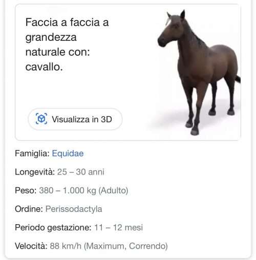 Animali 3D in casa grazie a Google. Come fare e l'elenco completo