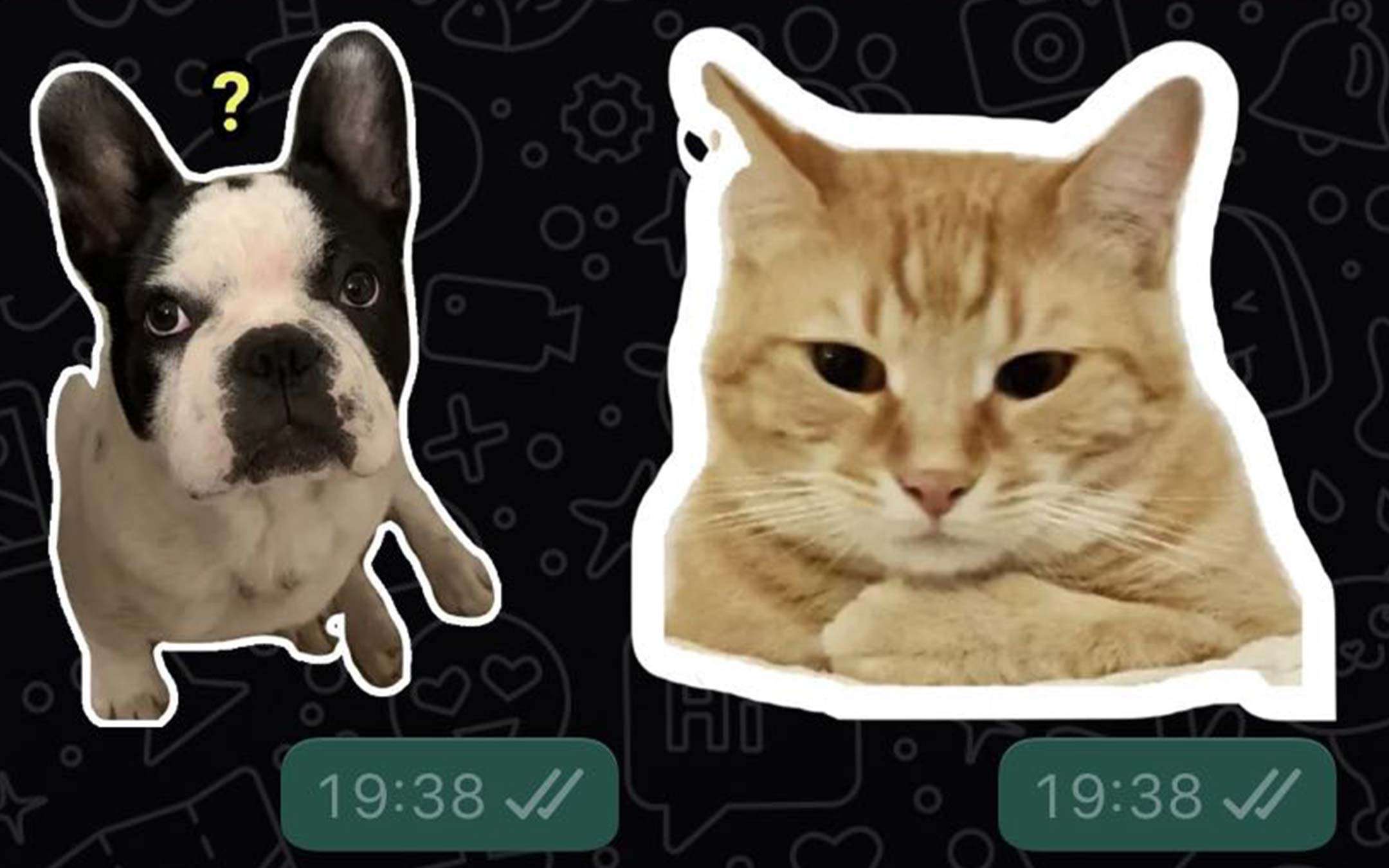 WhatsApp: come creare gli sticker (Android e iOS)