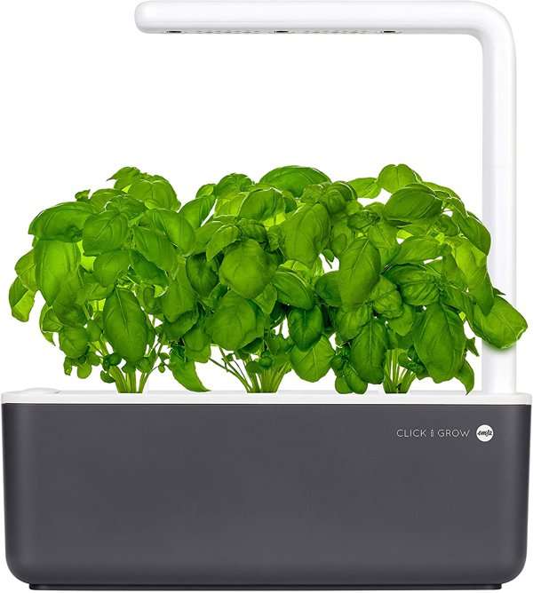 Vaso Click & Grow