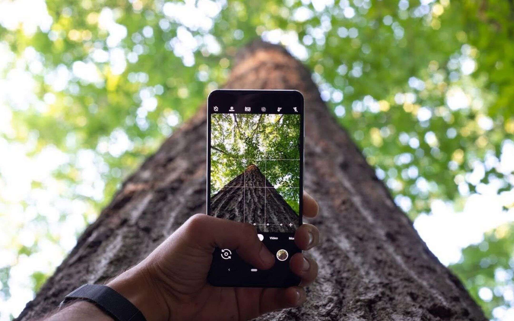 Instagram: #TeamPixel di Google vince Shorty Award