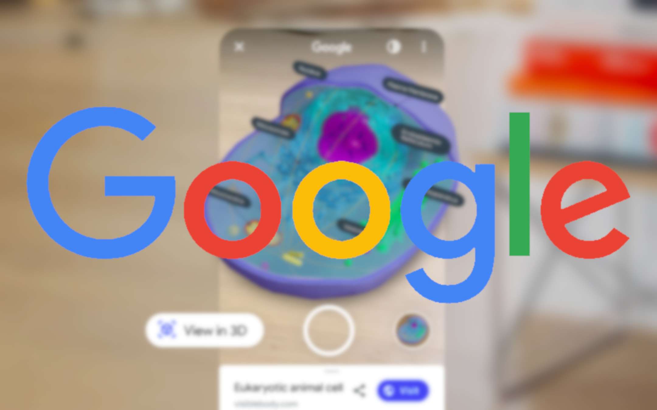 Google aggiunge alla ricerca nuovi oggetti 3D AR