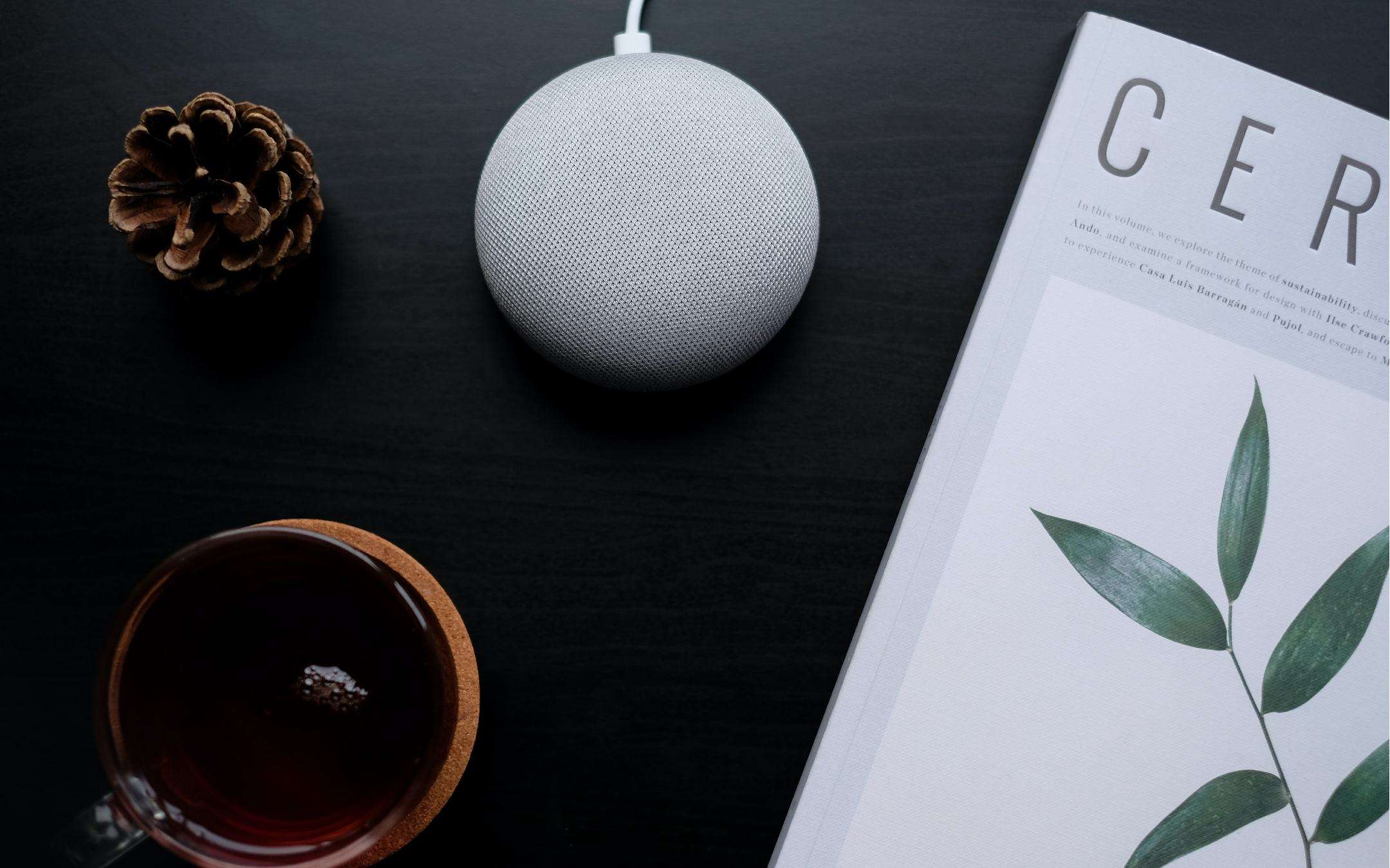 Google Home: guida ai dispositivi e confronto