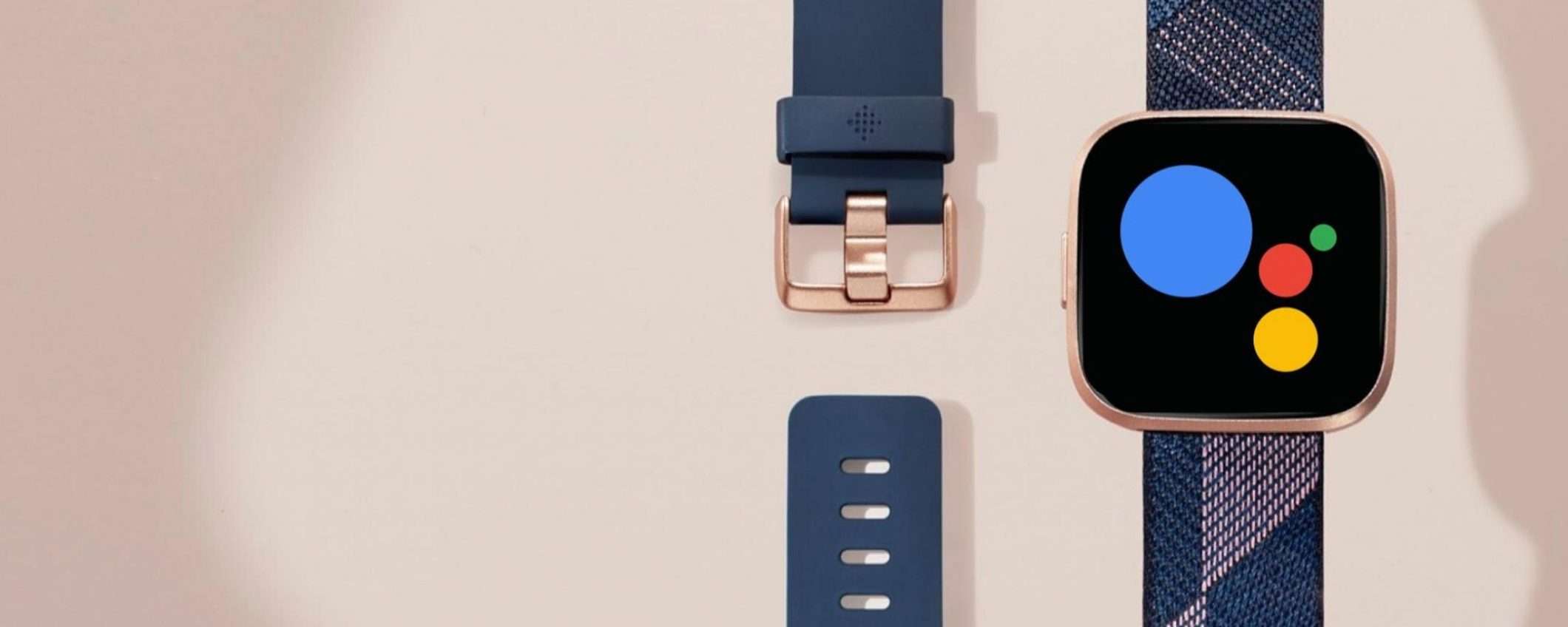 fitbit google assistant