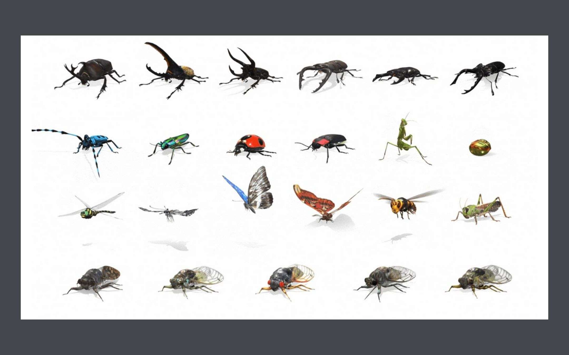 Google aggiunge gli insetti nella ricerca AR