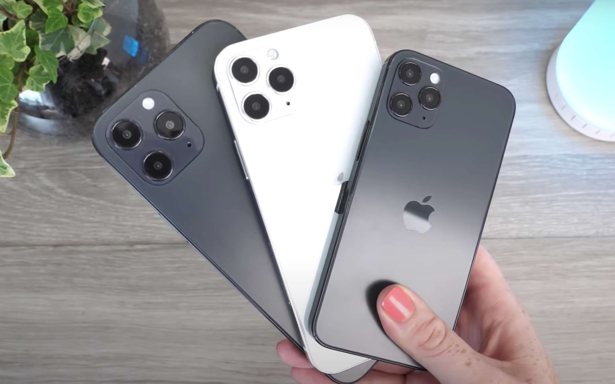 iPhone 12: nuove foto dello schermo da 5,4 pollici