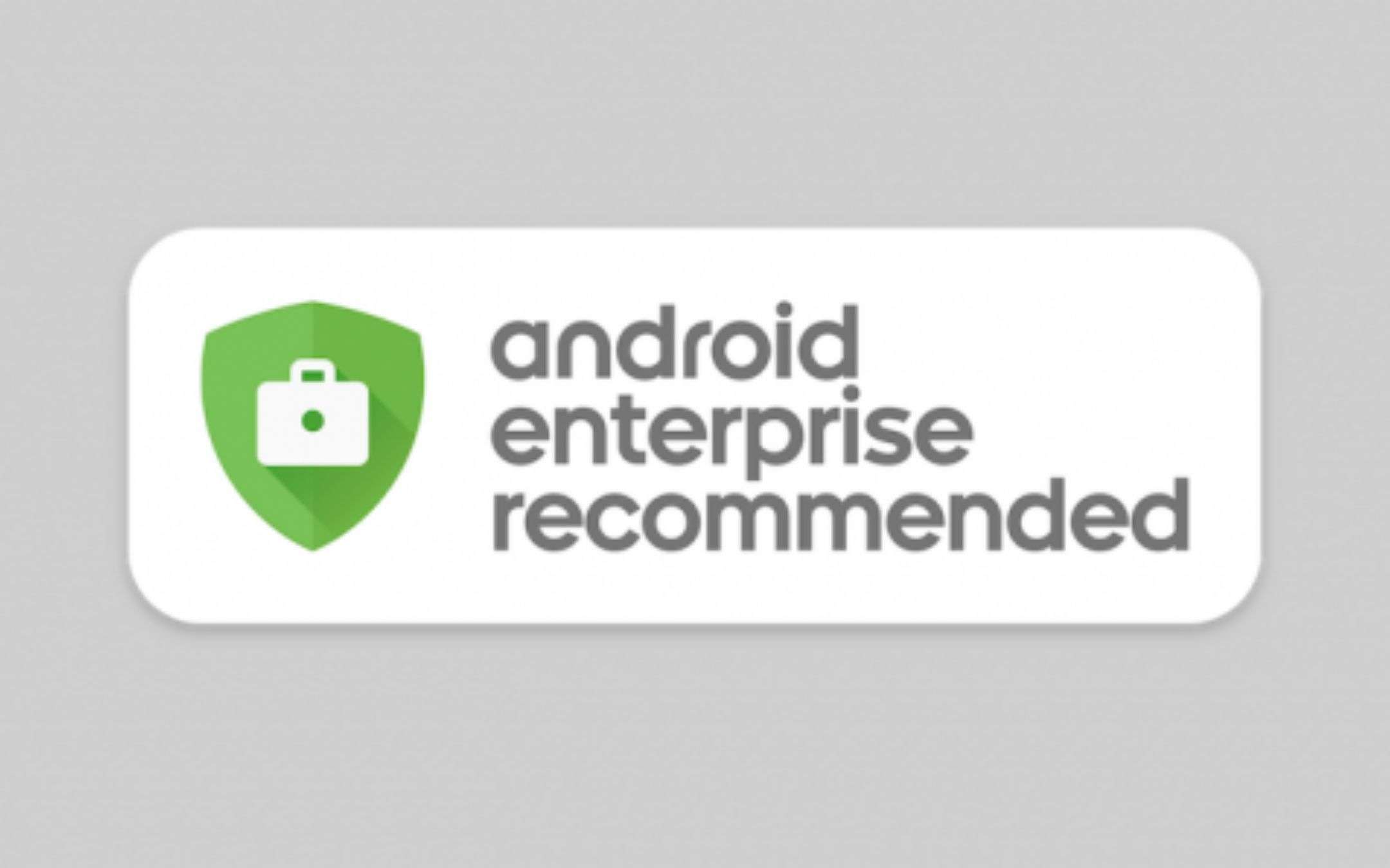 Redmi Note 9 Pro certificato Android Enterprise