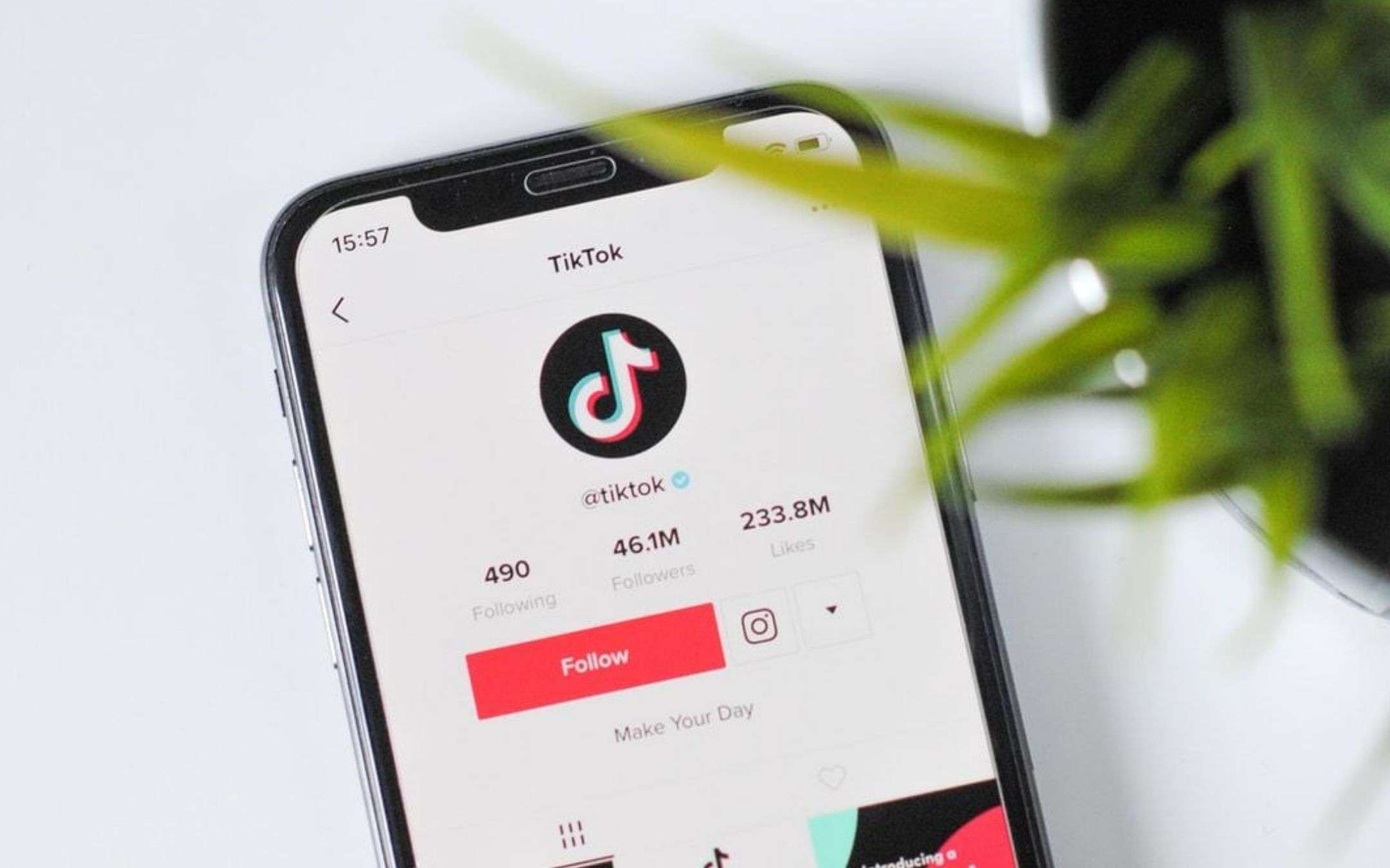 Netflix avrebbe rifiutato di comprare TikTok, pare