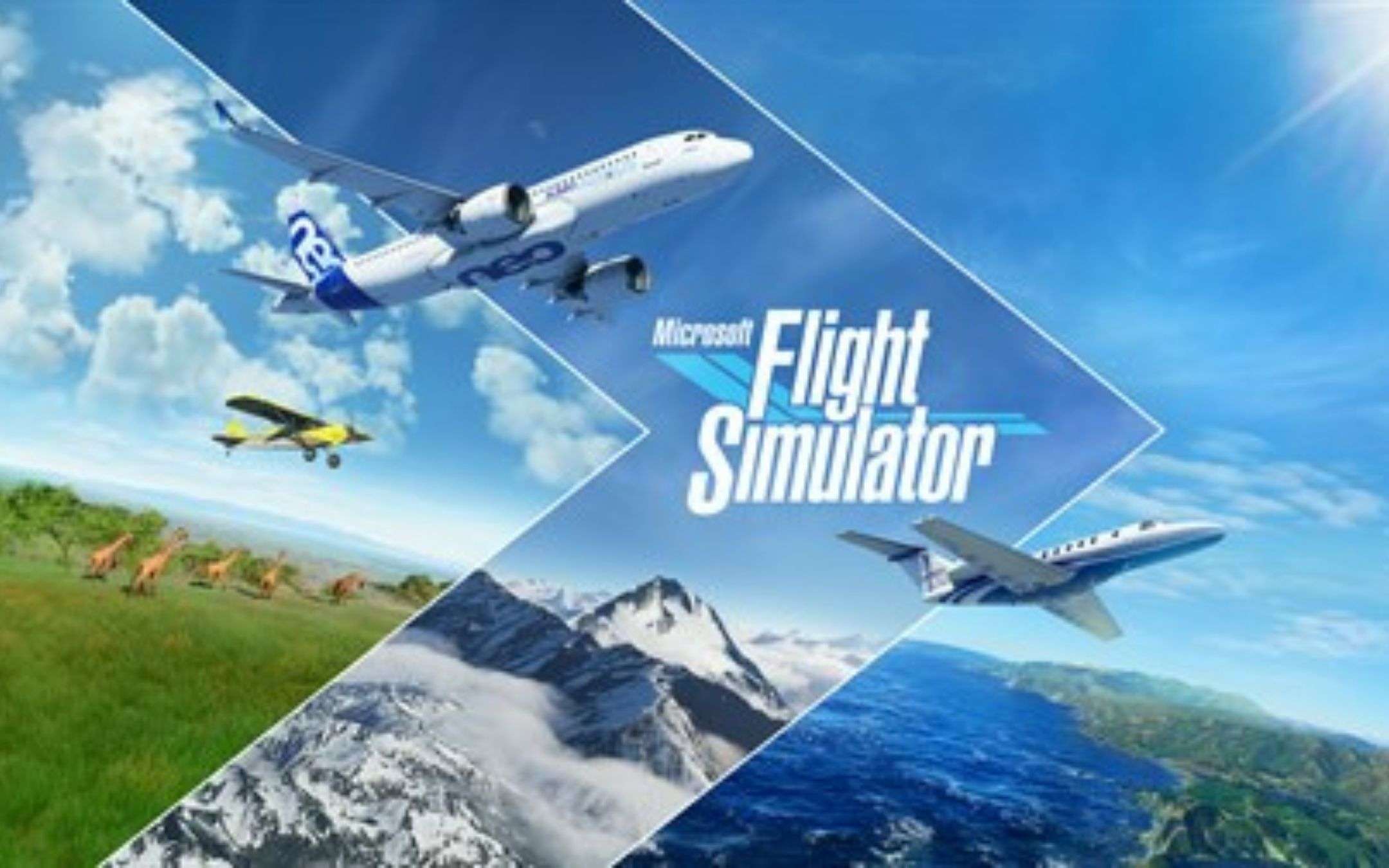 Flight Simulator: update con tanti bug fix