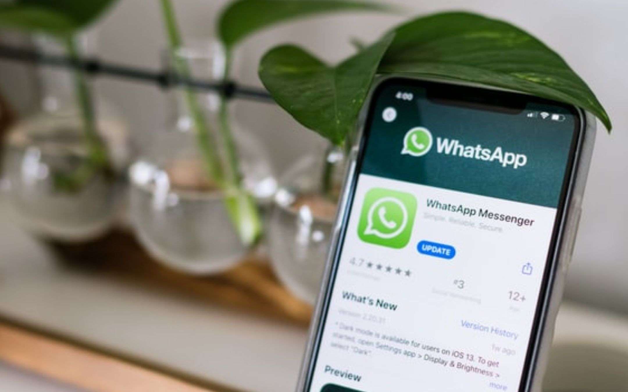 WhatsApp Beta per Android: più ordine, più spazio