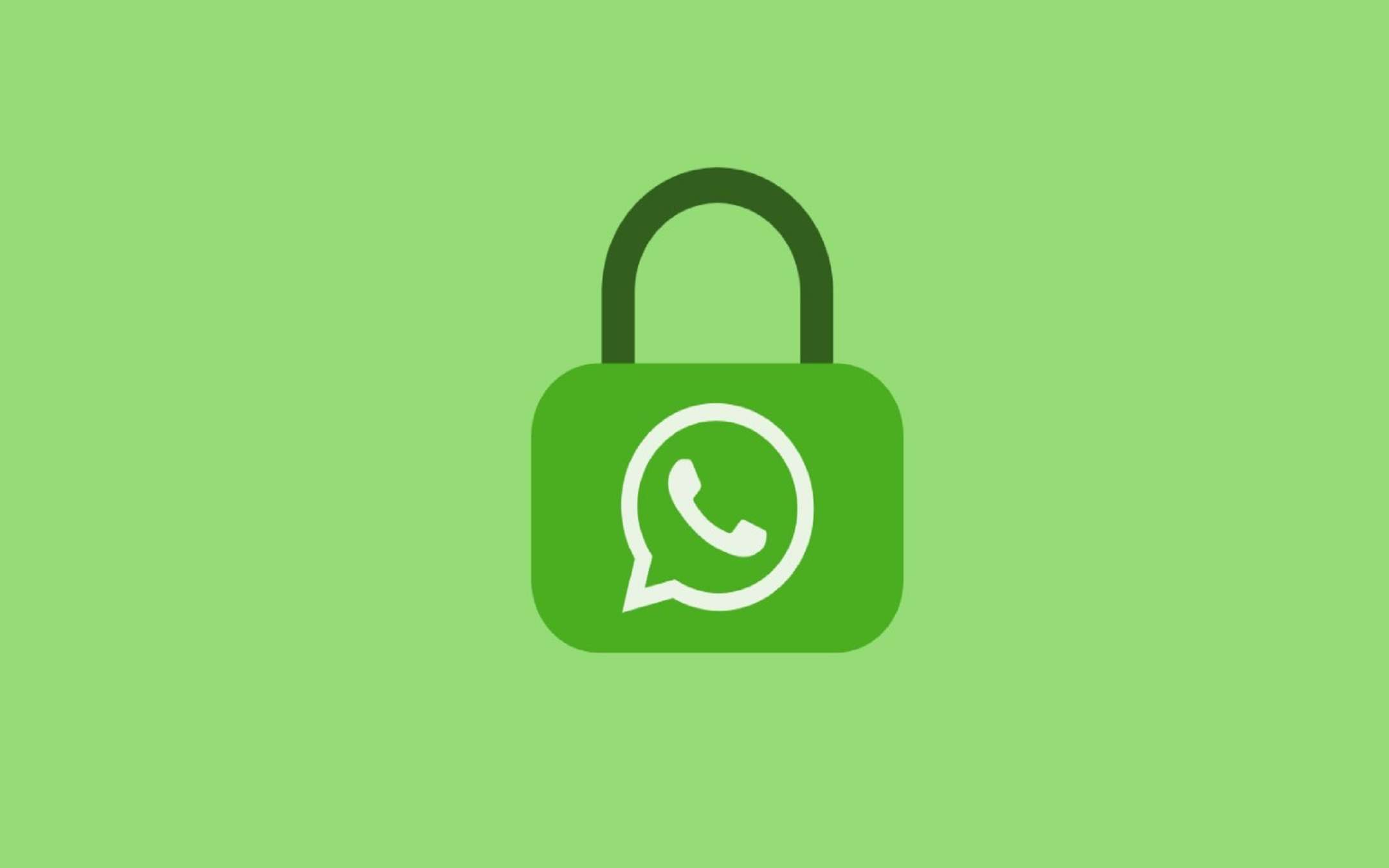 WhatsApp per Android: nuova versione 2.20.205.6