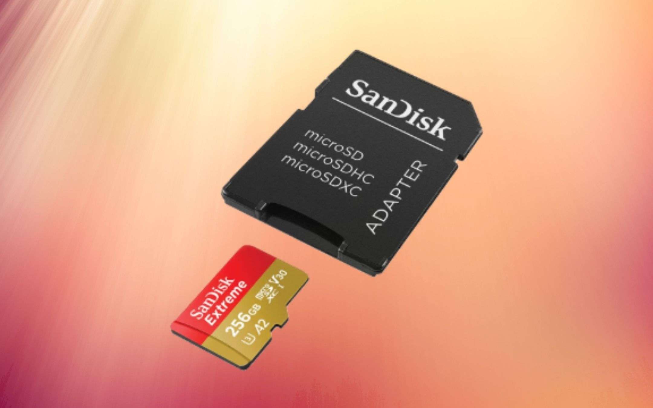 Voglia di spazio? MicroSD Sandisk da 256 GB basta?