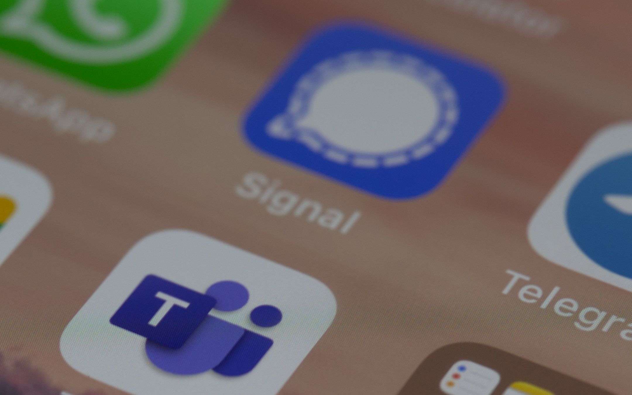 Signal si aggiorna: fiumi di novità disponibili