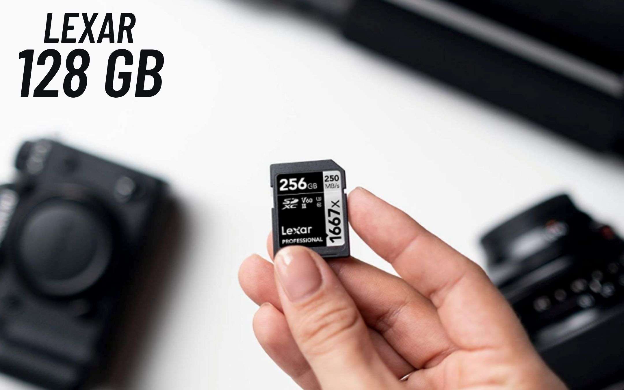 Lexar: SD super veloce da ben 128 GB (sconto 14%)