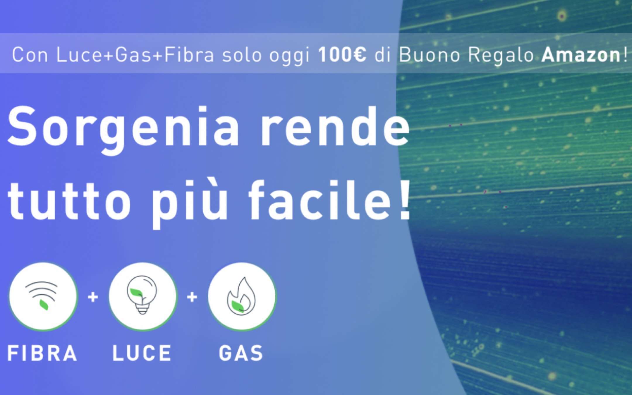 Sorgenia: Fibra FTTH con buono Amazon da 100€