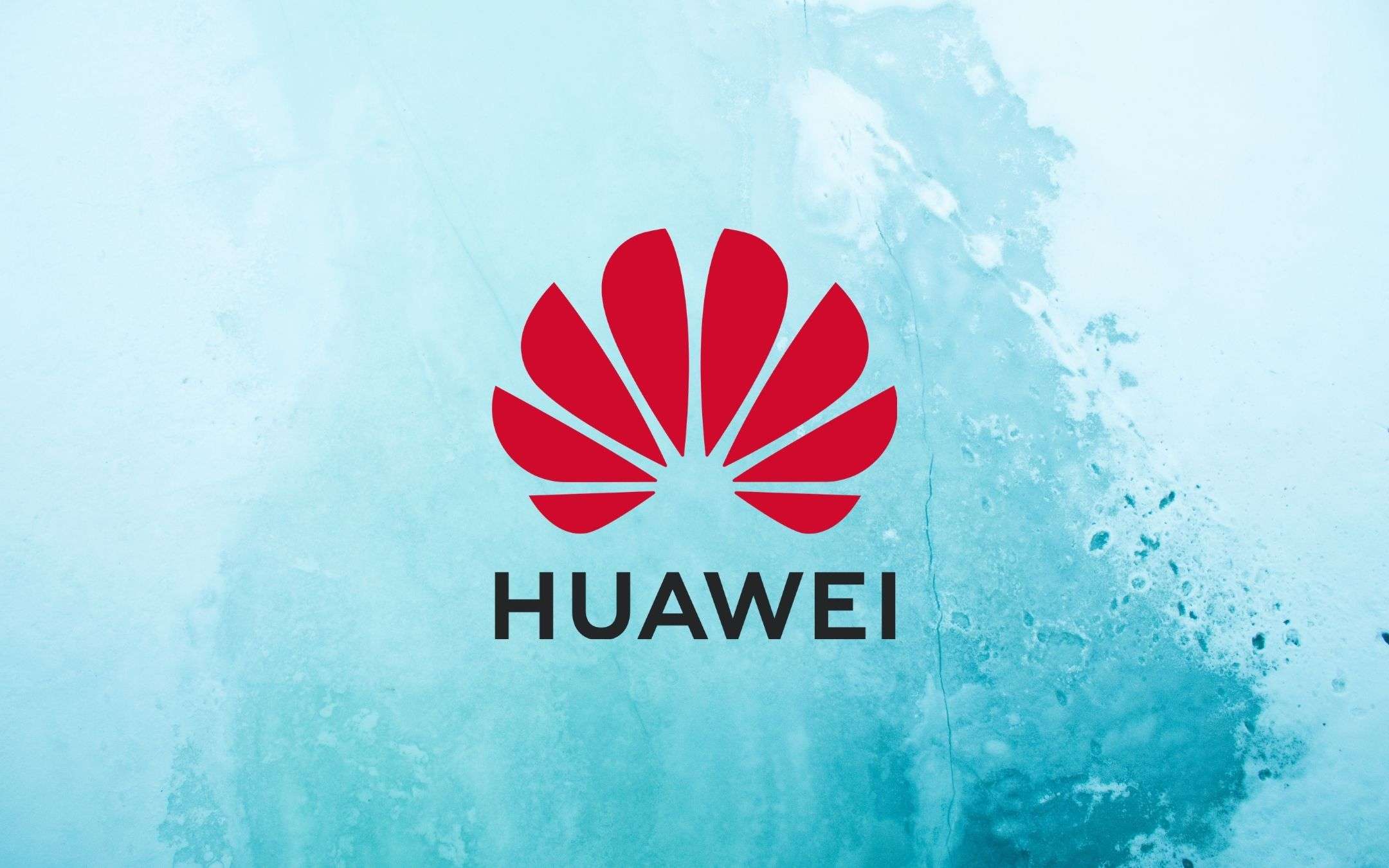 Huawei vuole tornare in pista e sfida la FCC Huawei vuole tornare in pista e sfida la FCC