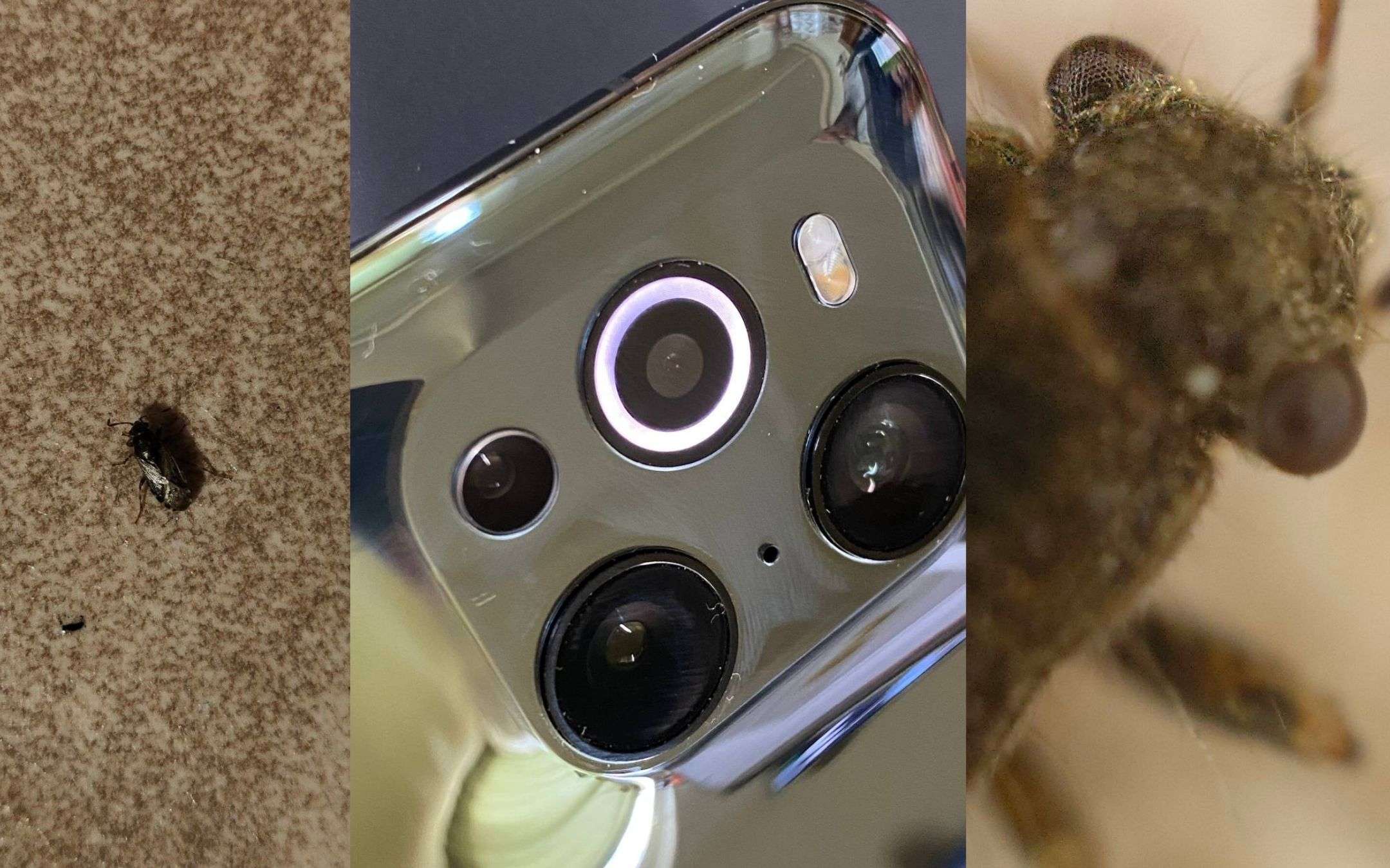 OPPO Find X3 Pro come microscopio: provato in laboratorio OPPO Find X3 Pro come microscopio: provato in laboratorio