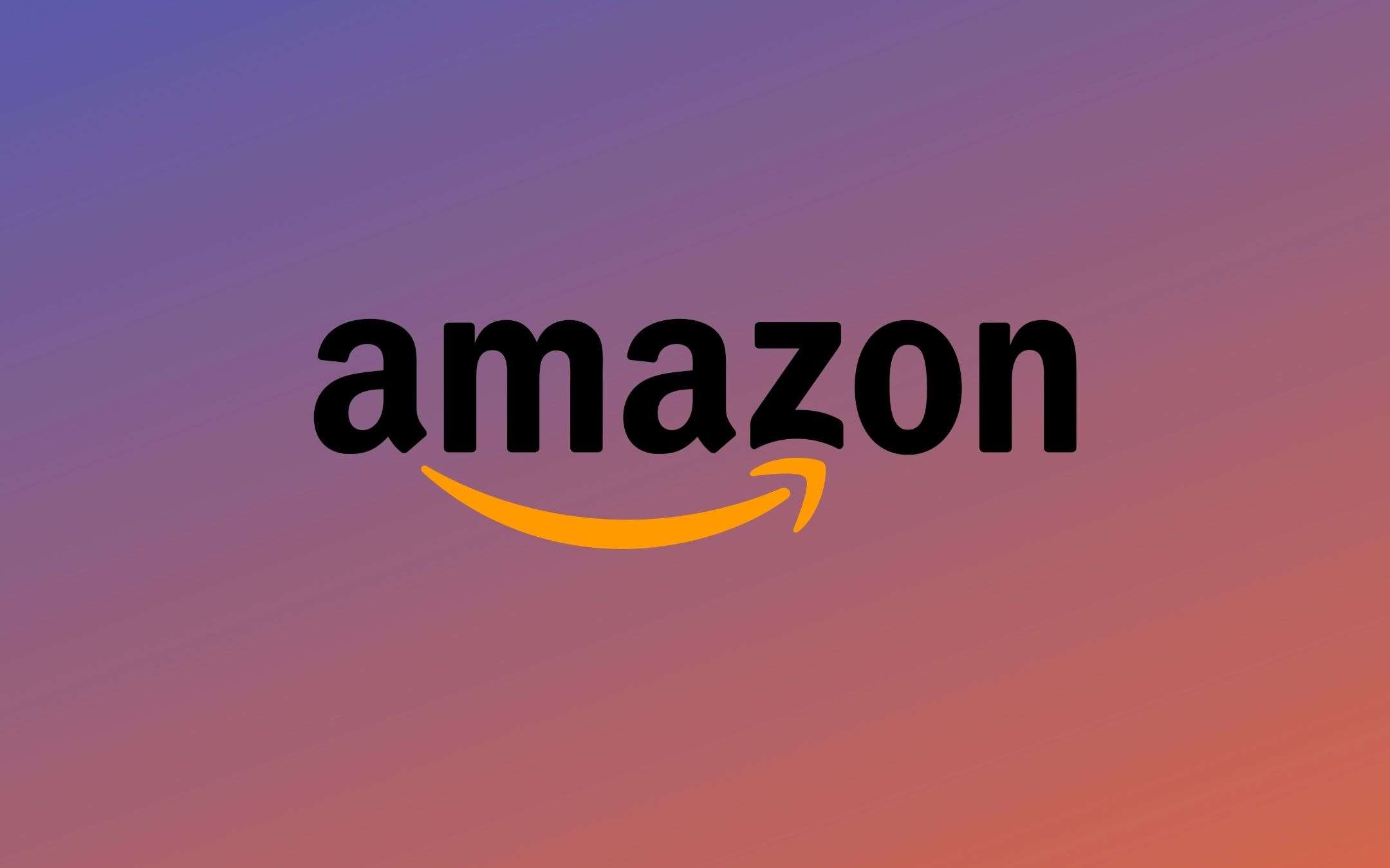 Amazon: al lavoro su dei chipset di rete proprietari Amazon: al lavoro su dei chipset di rete proprietari