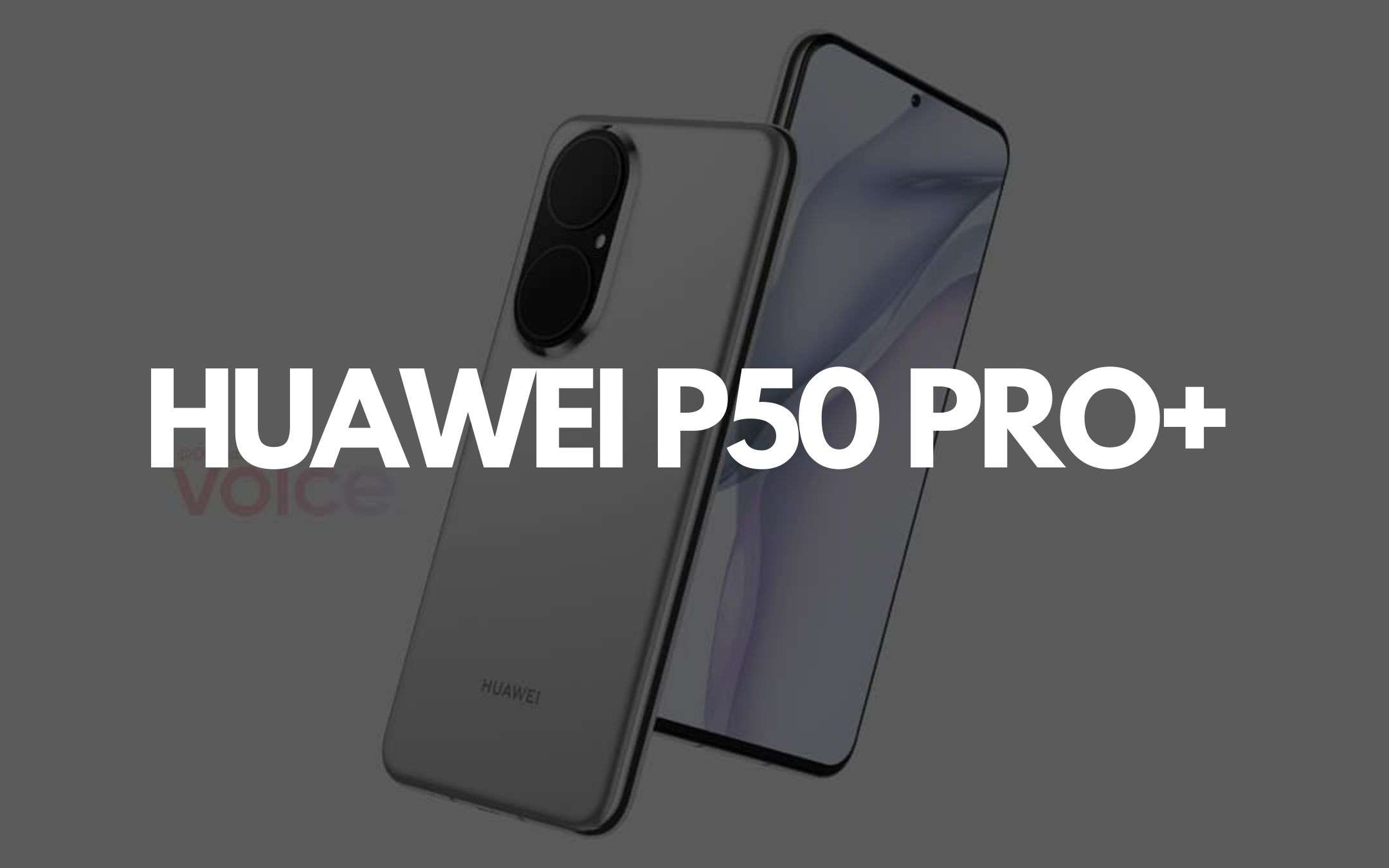 Huawei P50 Pro+: sarà MERAVIGLIOSO (FOTO)