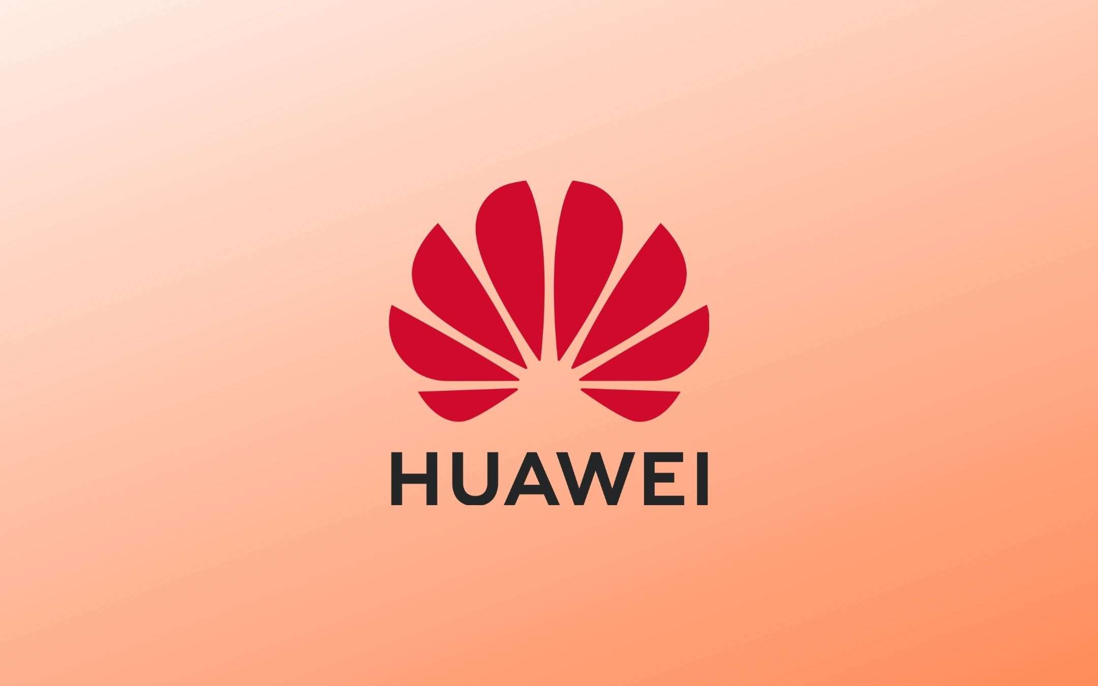 Huawei segna un primo calo delle entrate