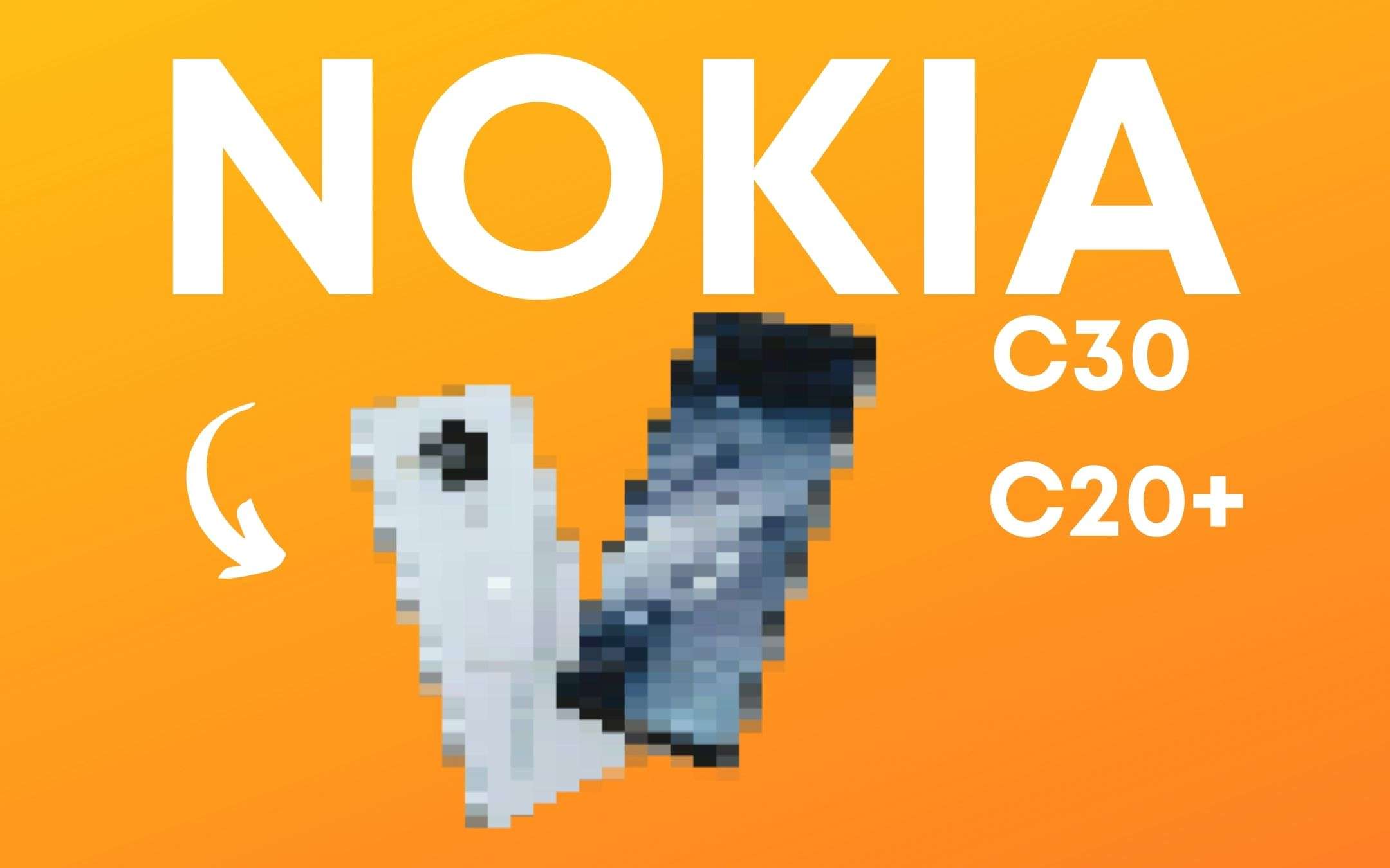 Nokia C20 Plus e C30: avranno batterie TOP