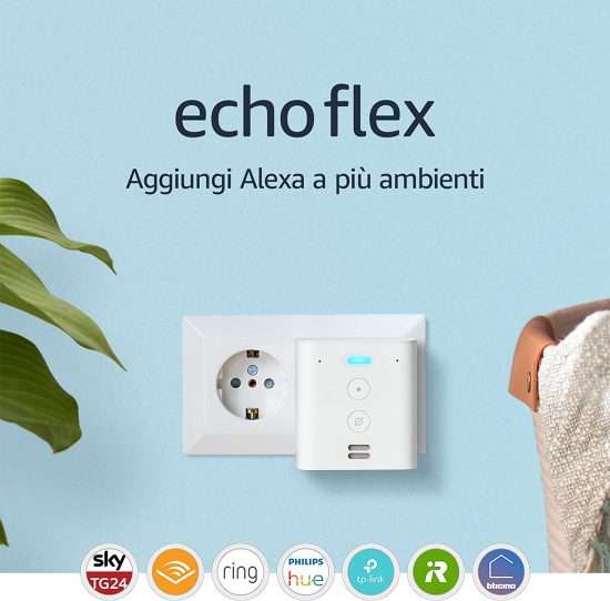 echo flex (1)
