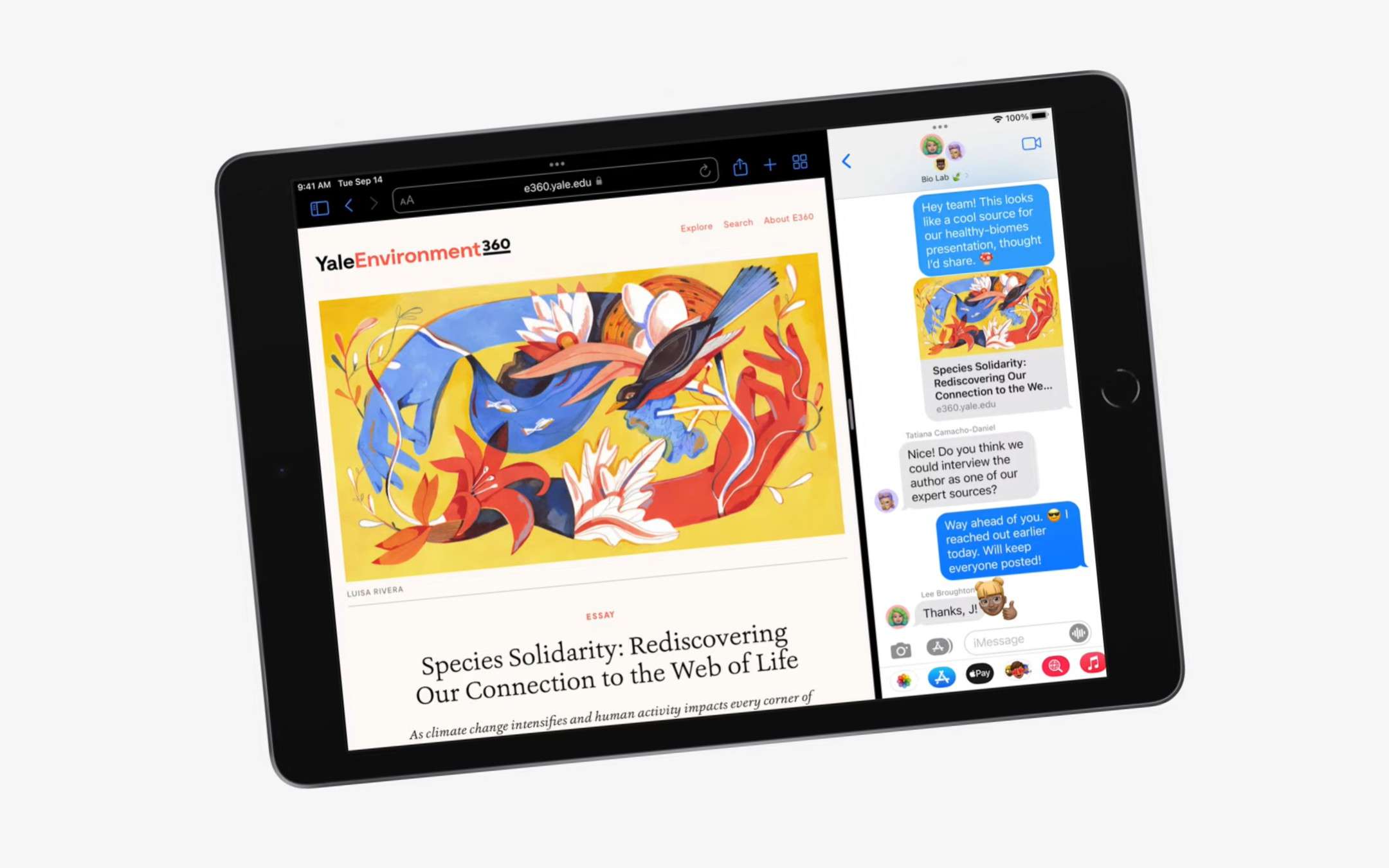 iPad 2021 UFFICIALE: specifiche, disponibilità e prezzo
