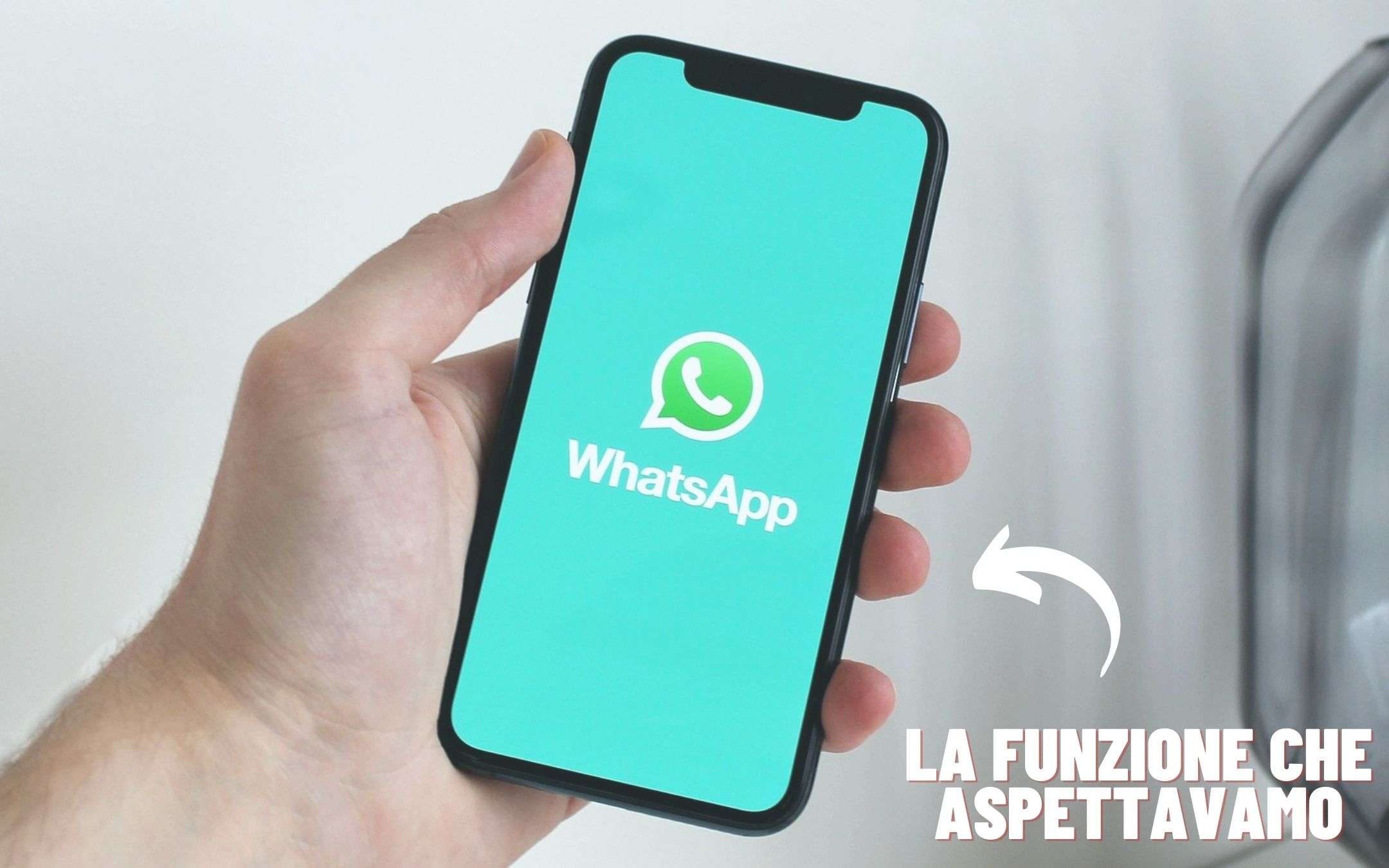 WhatsApp: con questo WhatsApp: con questo