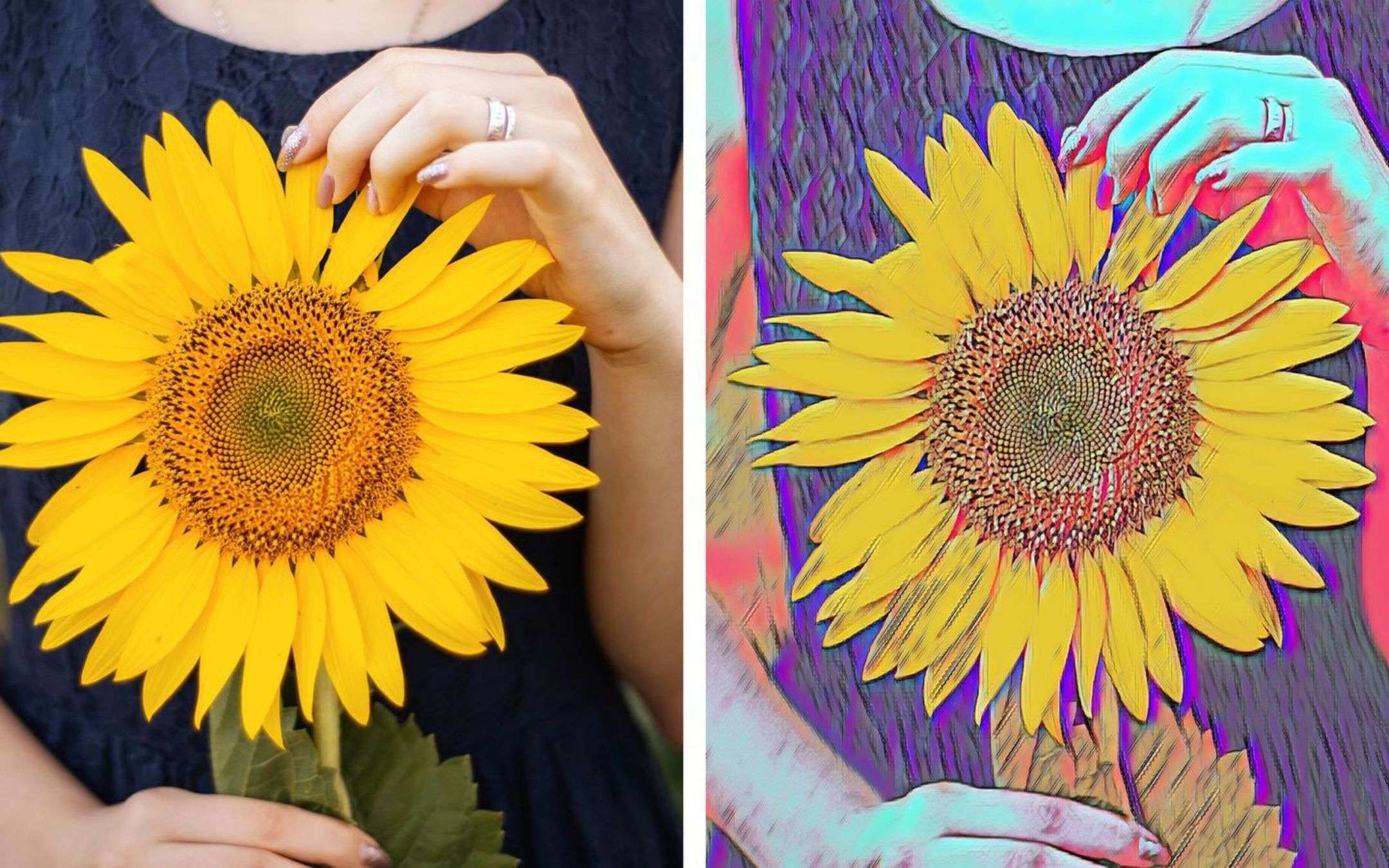 Adobe lancia Photoshop e Premiere Elements 2022 Adobe lancia Photoshop e Premiere Elements 2022