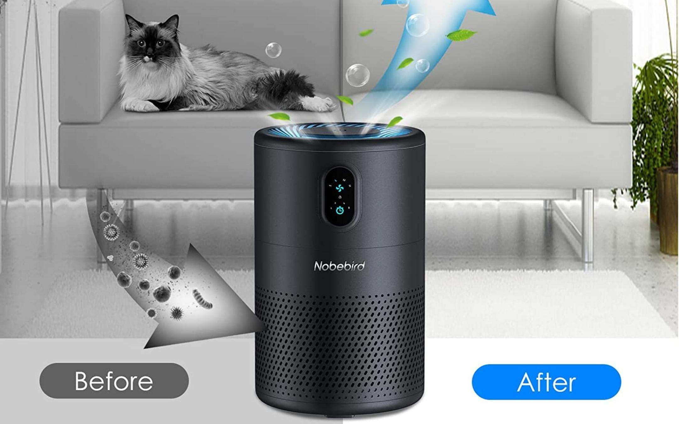 Purificatore d'aria a prezzo da URLO: attiva il coupon Purificatore d'aria a prezzo da URLO: attiva il coupon