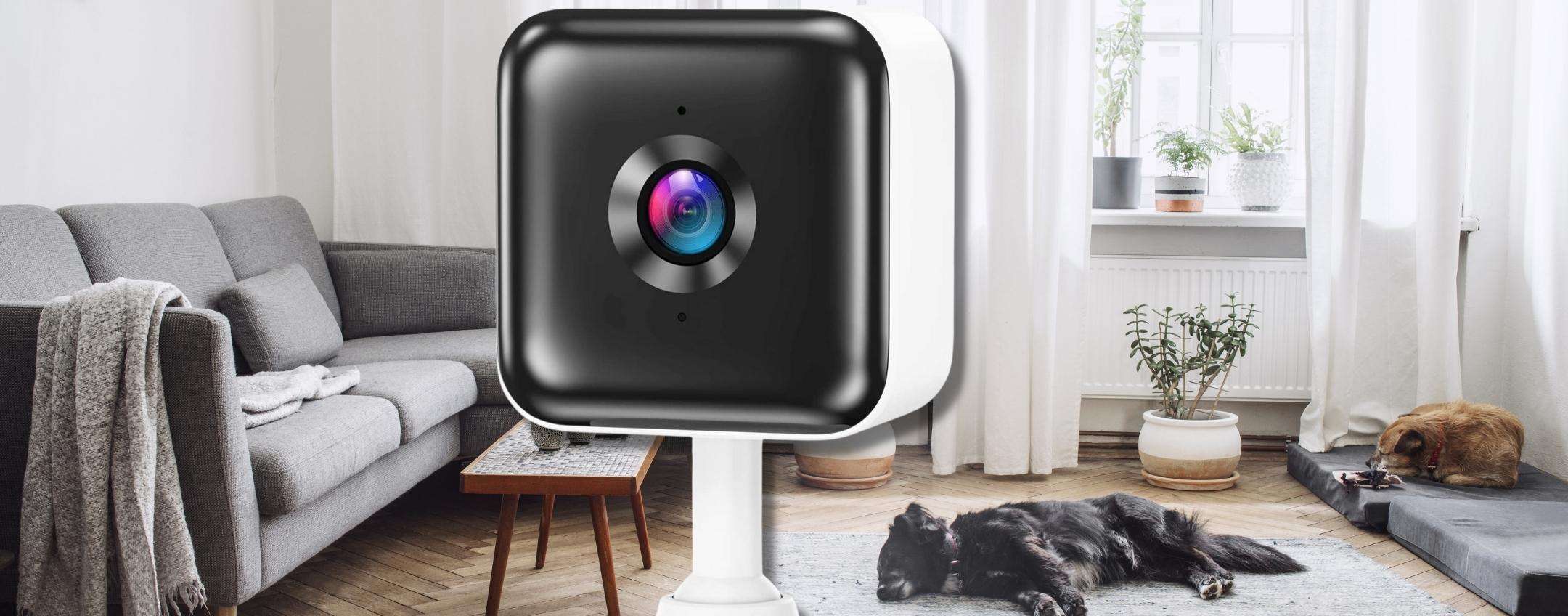 Videocamera sicurezza smart compatta: a 19€ è DA AVERE (solo Amazon) Videocamera sicurezza smart compatta: a 19€ è DA AVERE (solo Amazon)