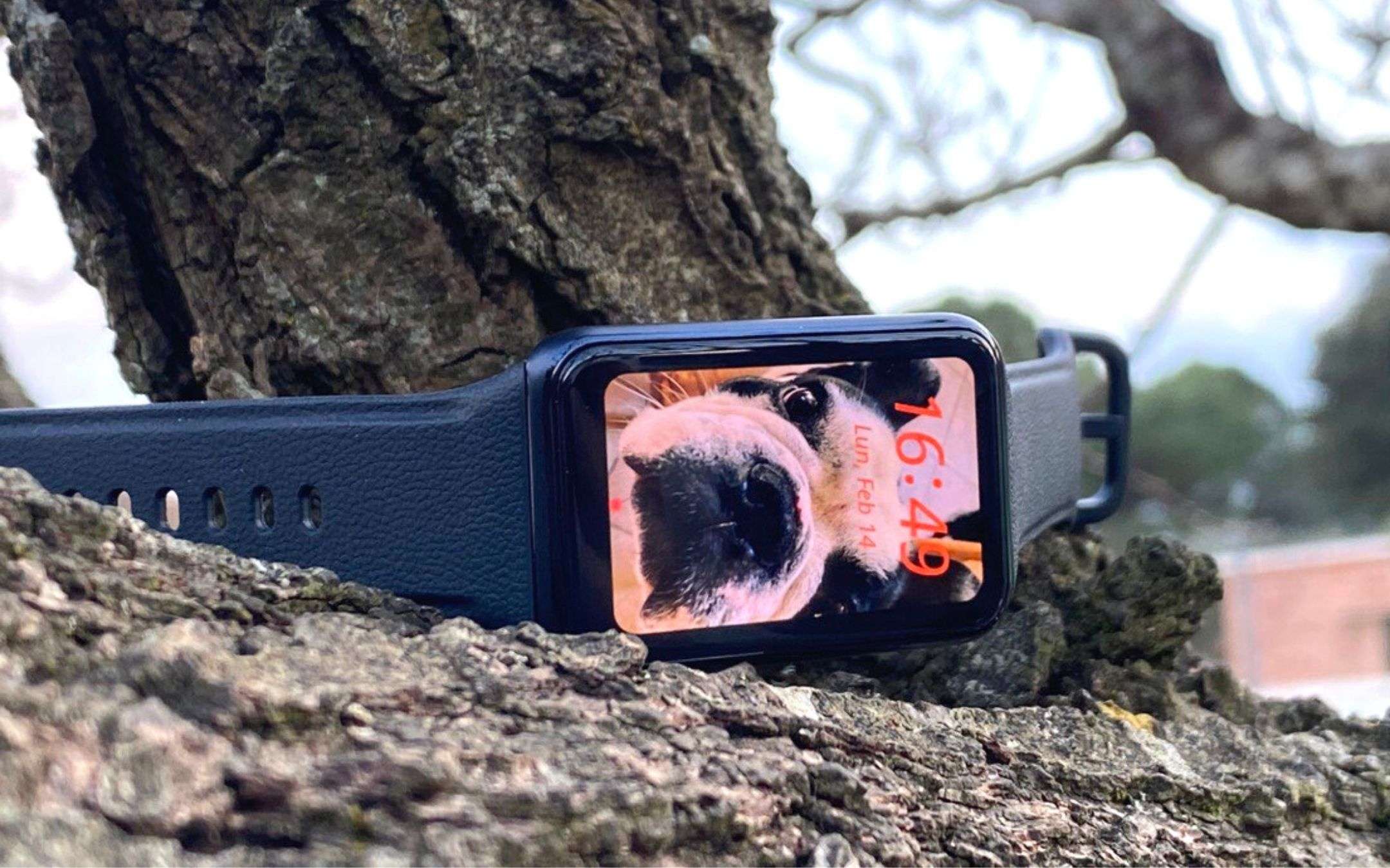 Scegliere smartwatch deals