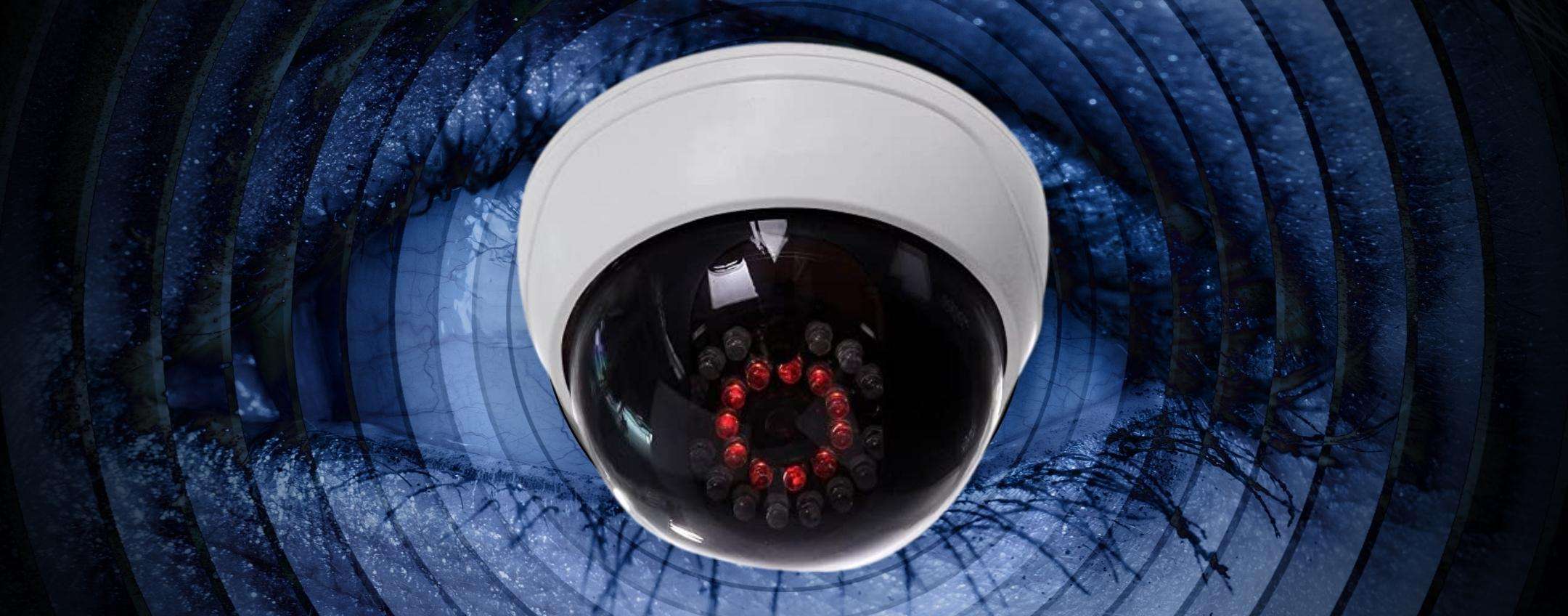 Problemi di sicurezza? 11€ ed hai una telecamera che FA PAURA Problemi di sicurezza? 11€ ed hai una telecamera che FA PAURA