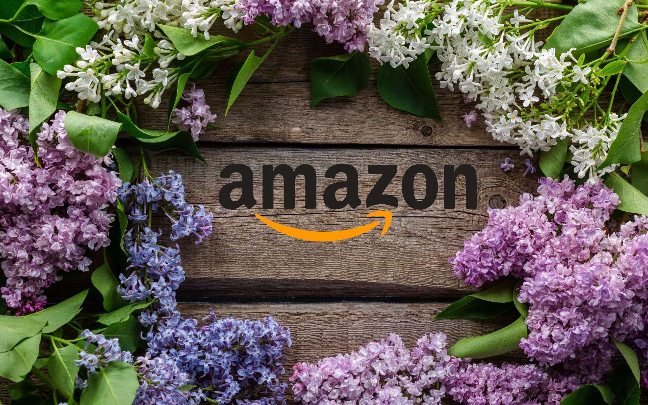 Amazon, Offerte di Primavera al via: 10 affari TOP e dritte per risparmiare Amazon, Offerte di Primavera al via: 10 affari TOP e dritte per risparmiare