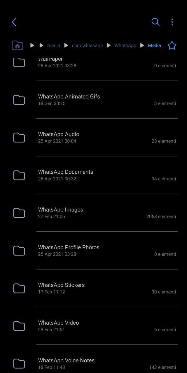 dove whatsapp salva le foto video