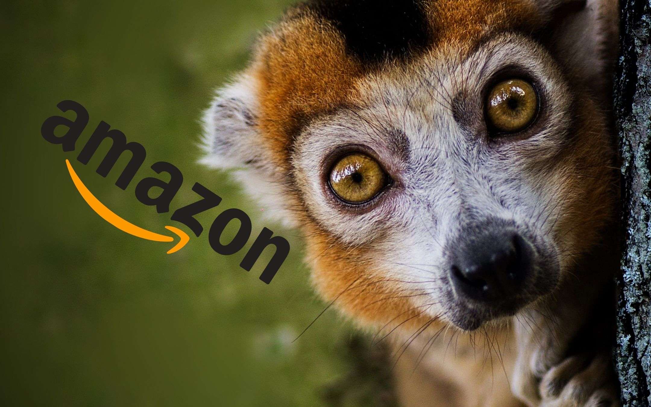 L'Amazon delle SORPRESE nascoste: 10 prodotti tech a meno di 1€ L'Amazon delle SORPRESE nascoste: 10 prodotti tech a meno di 1€