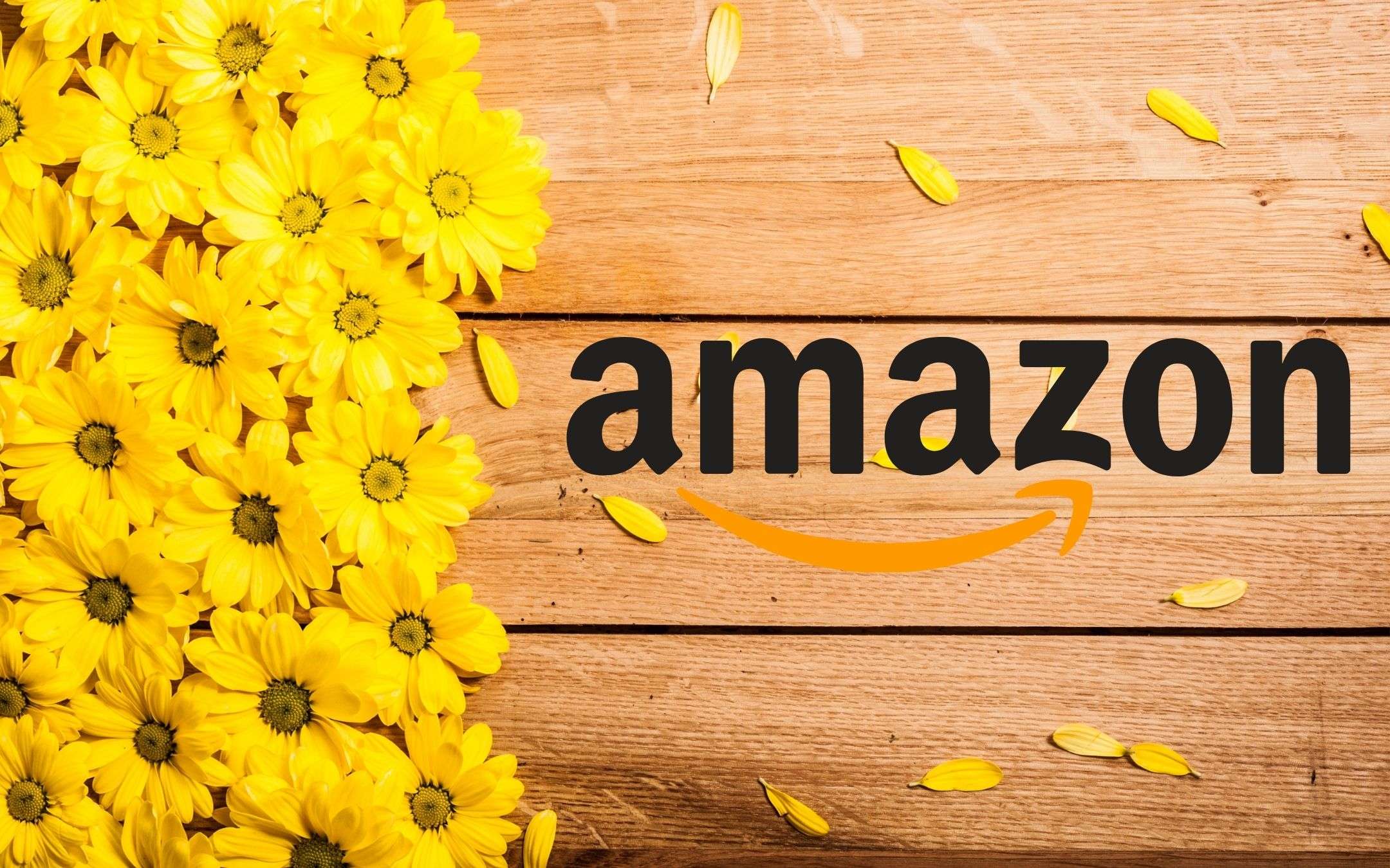 Offerte di Primavera Amazon: 50 occasioni ASSURDE a meno di 50€