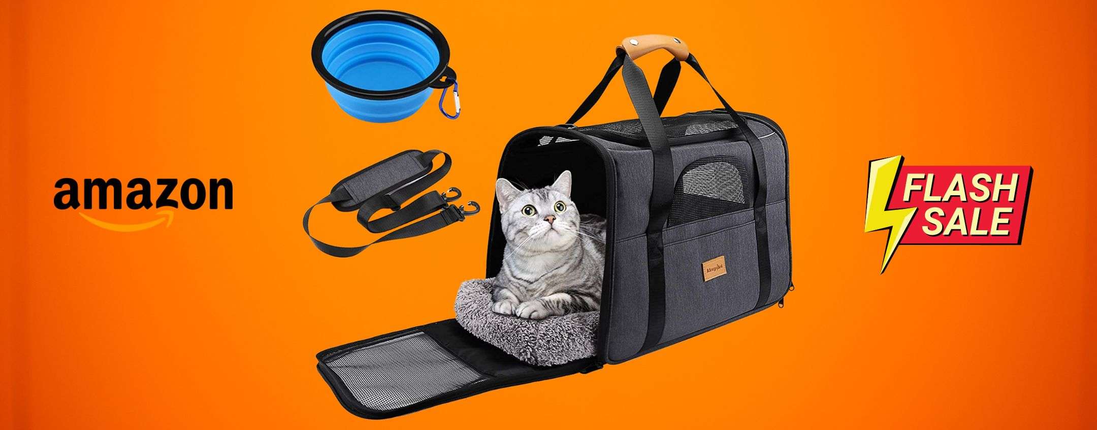 Porta il gatto con te in treno o in aereo con questo comodo trasportino Porta il gatto con te in treno o in aereo con questo comodo trasportino