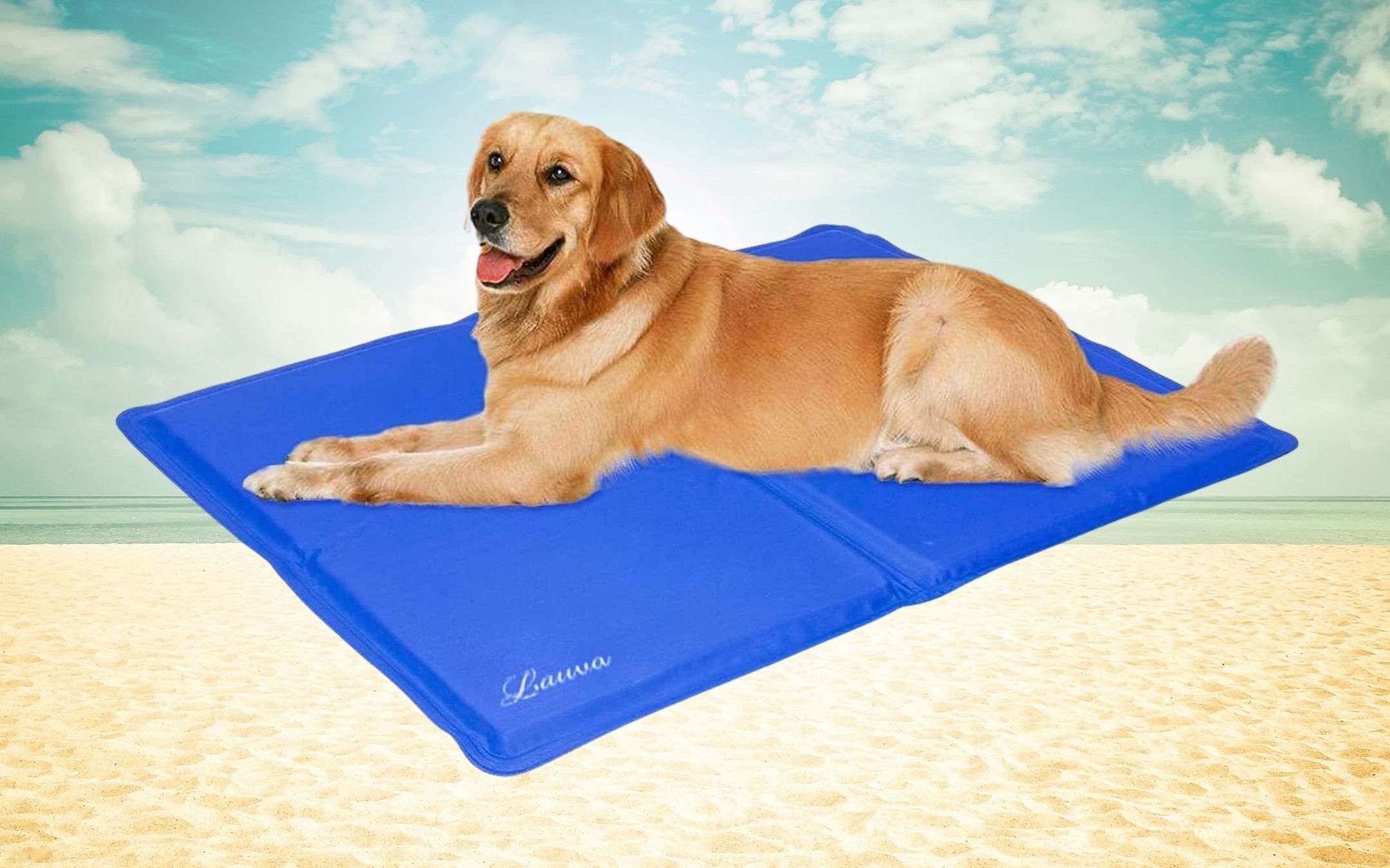 Con questo caldo, PROTEGGI il tuo cane: tappetino refrigerante a 23€ Con questo caldo, PROTEGGI il tuo cane: tappetino refrigerante a 23€