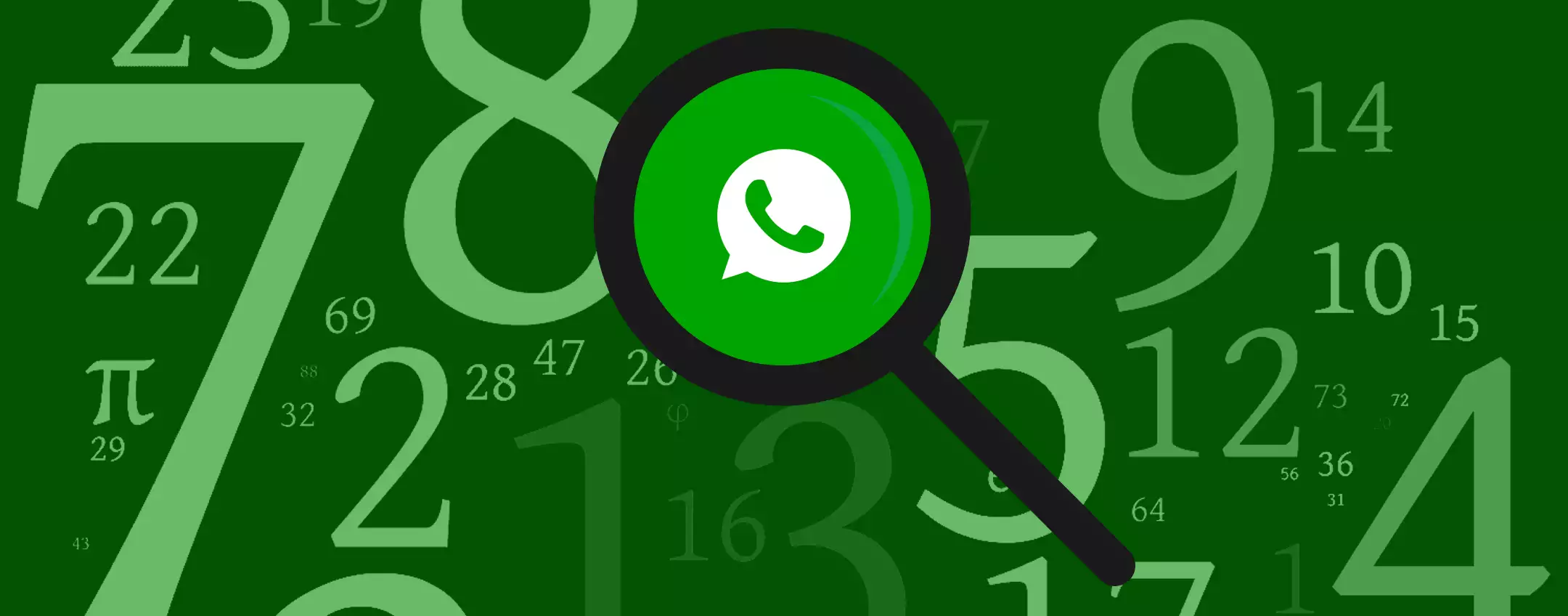 WhatsApp: c'è un geniale trucco per trovare il numero di qualcuno WhatsApp: c'è un geniale trucco per trovare il numero di qualcuno